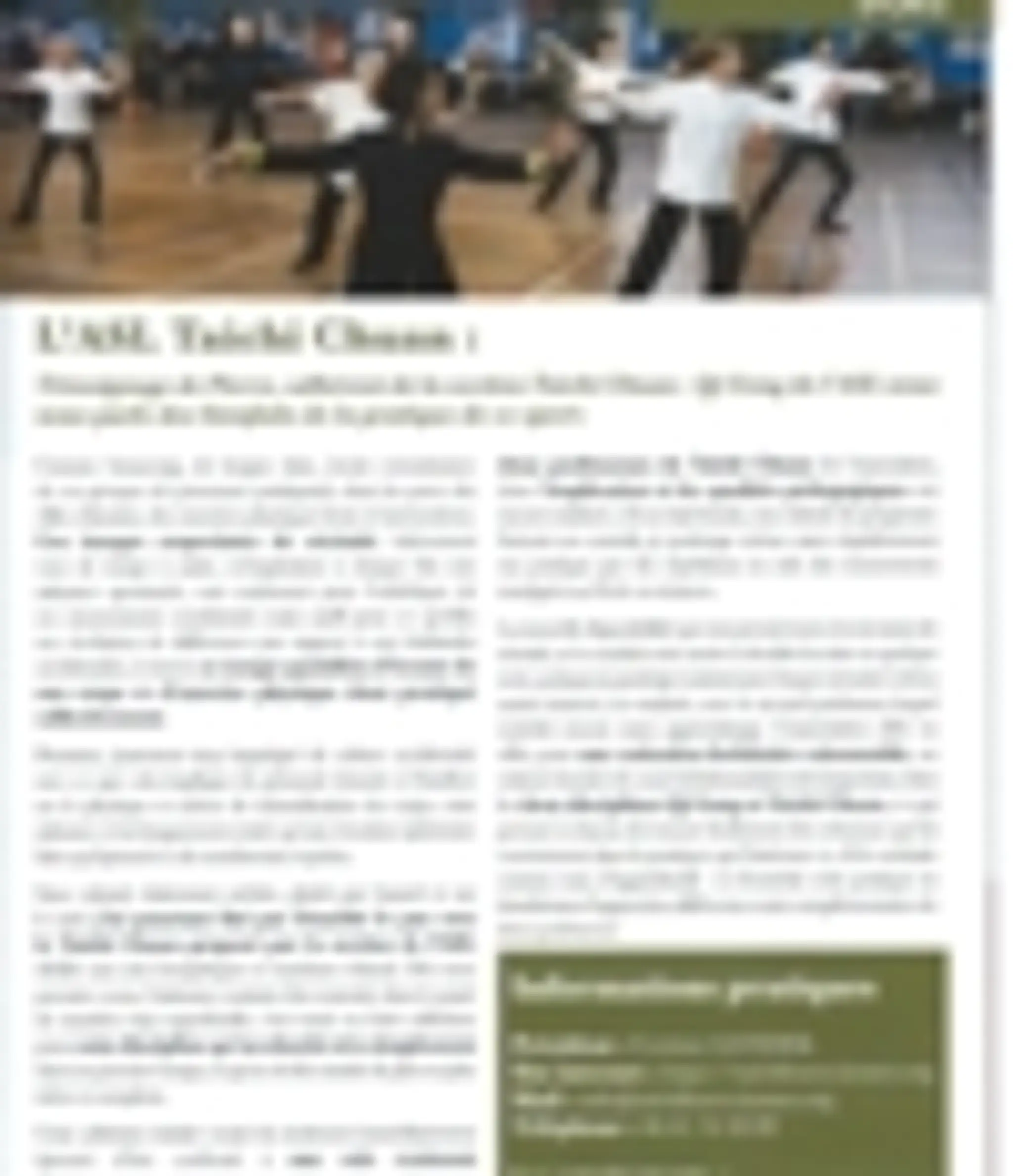 As Louveciennes Tai Chi Chuan -