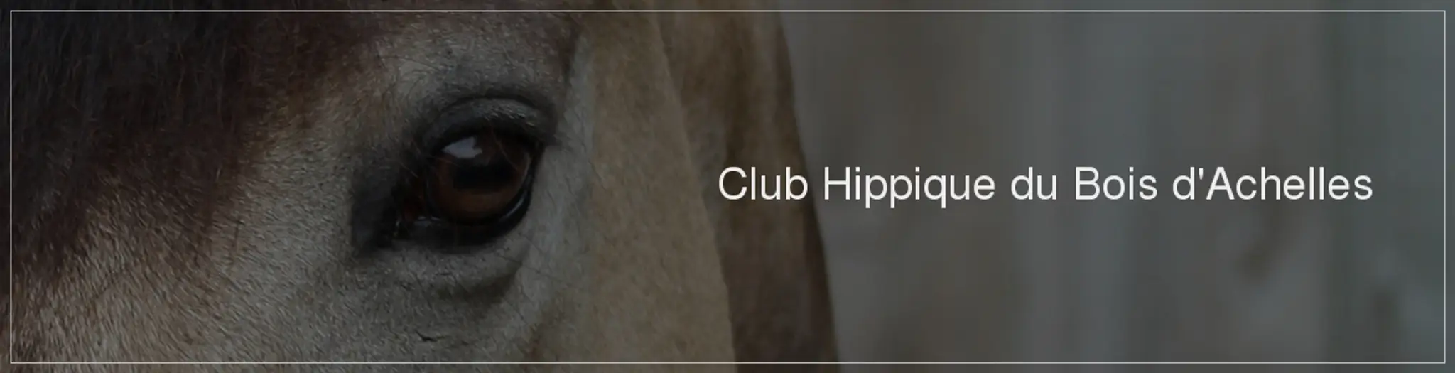 CENTRE HIPPIQUE DU BOIS D ACHELLES