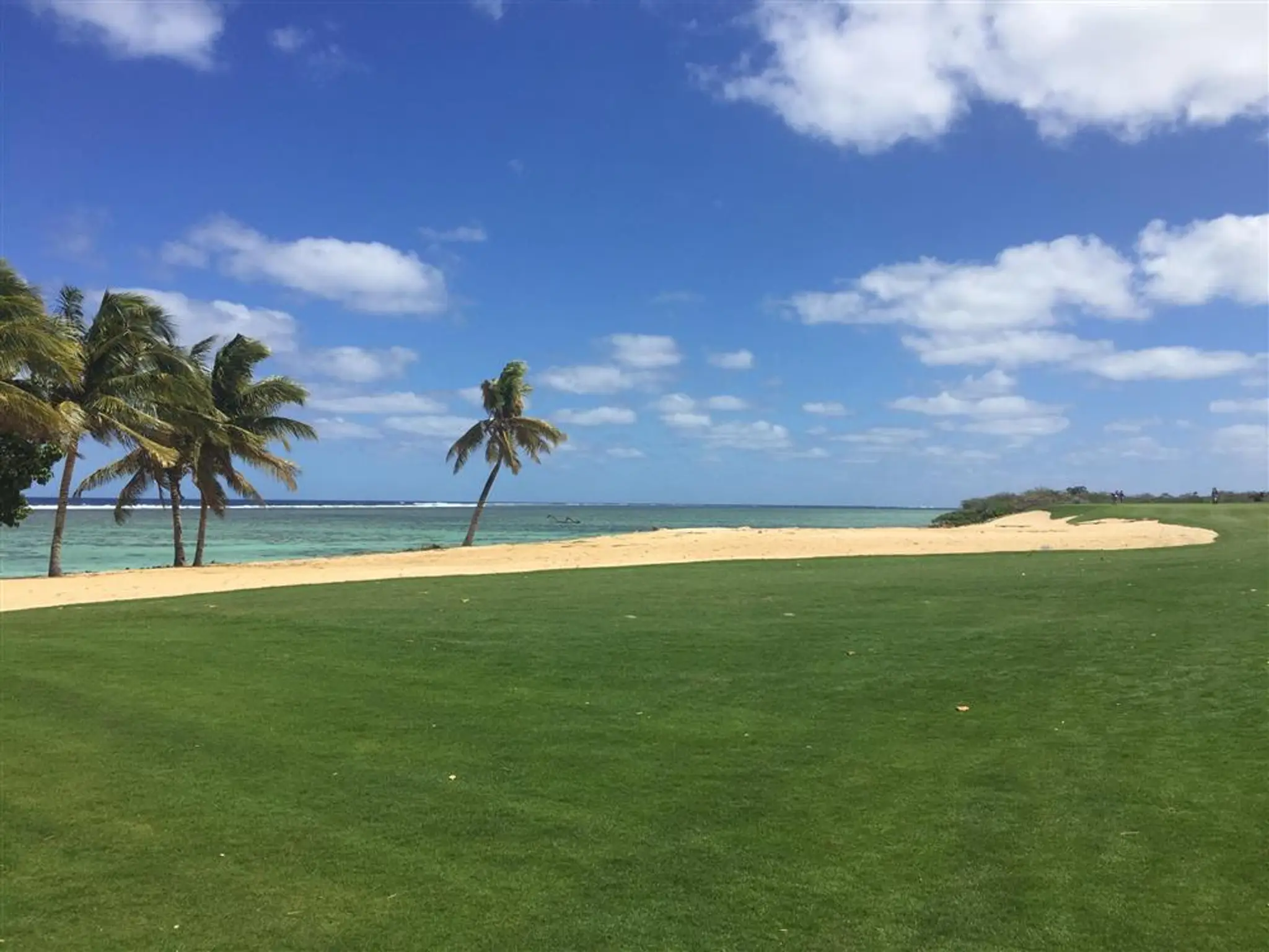 Luxury Golf Tours Downunder