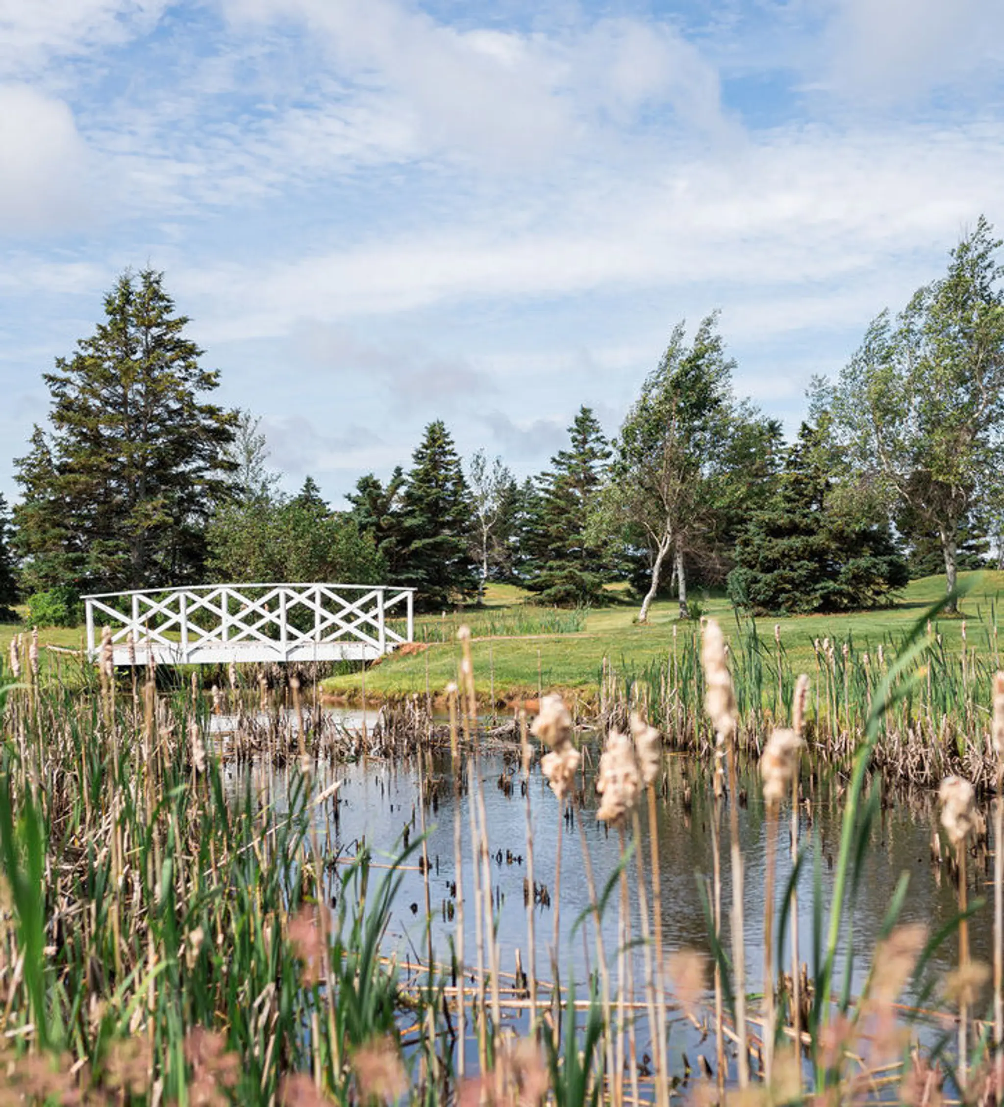 Darnley Greens & The Red Zone