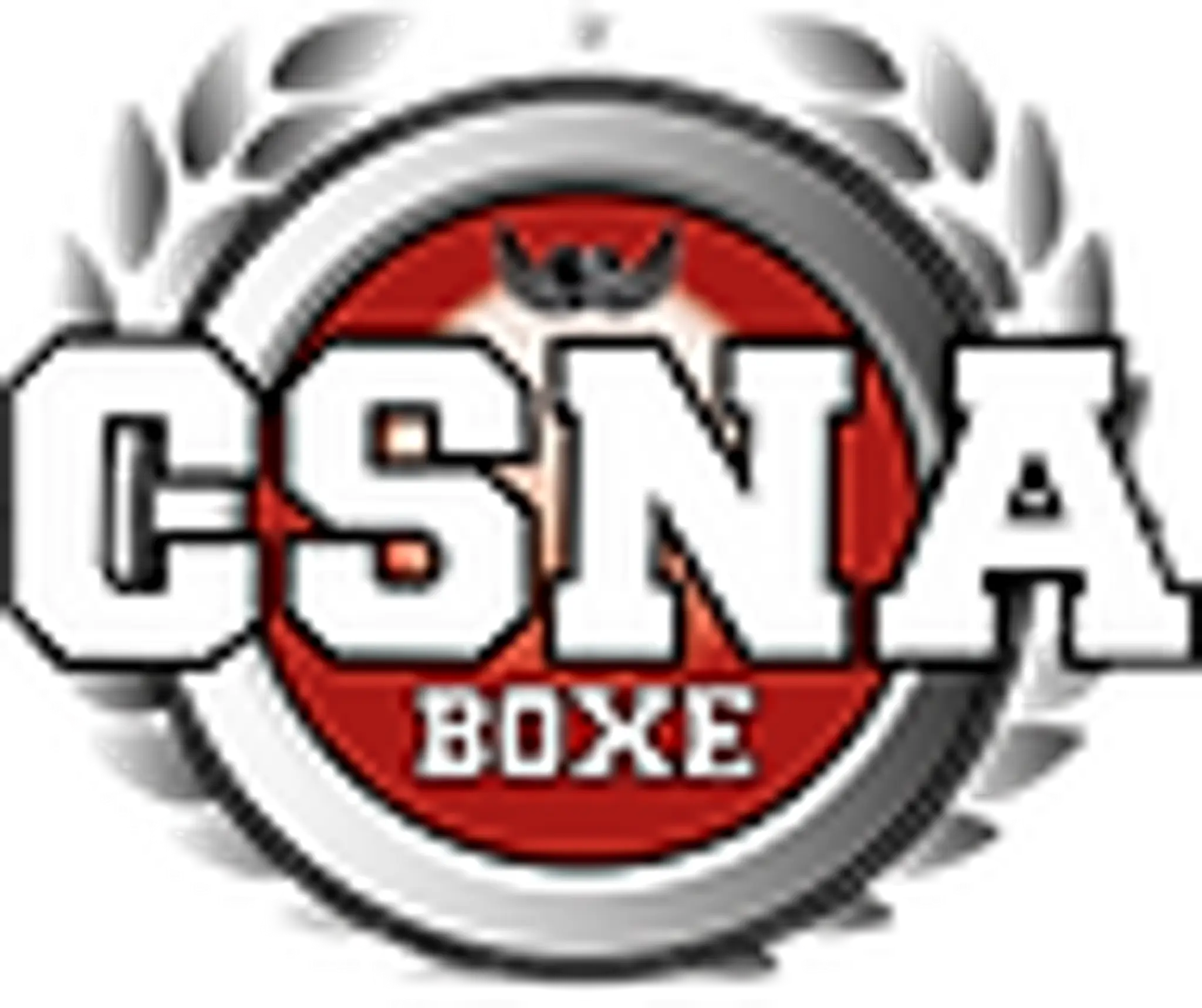 Csna