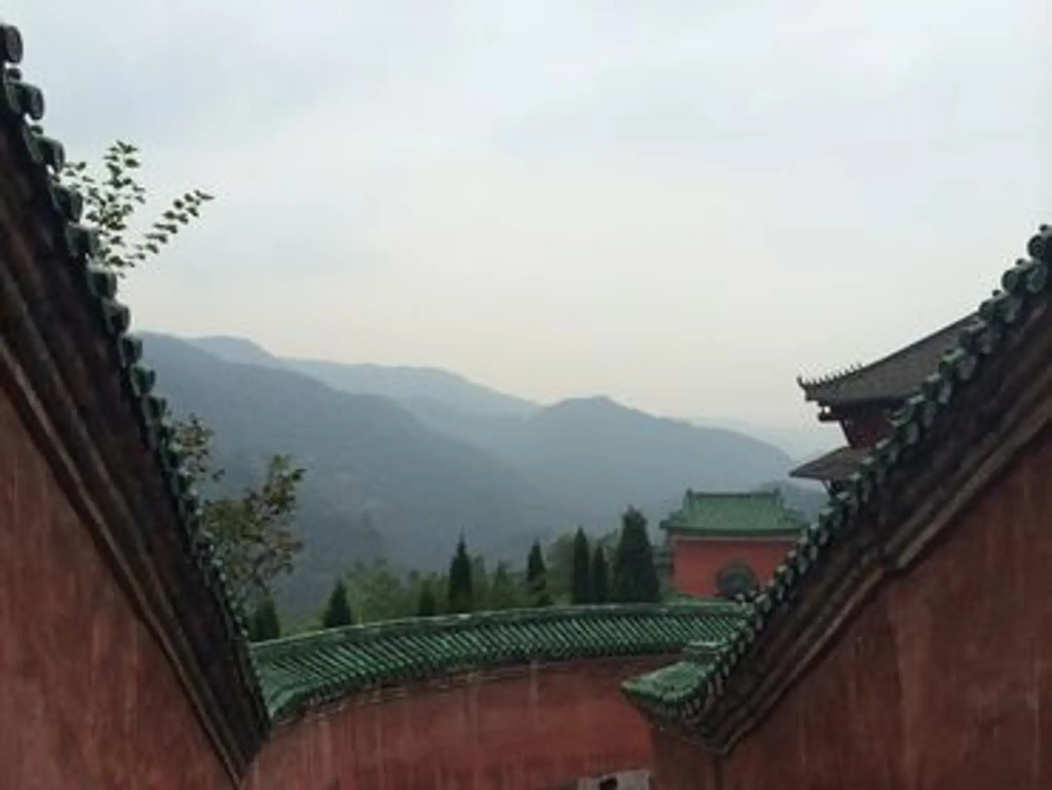 VO DAO TAI CHI