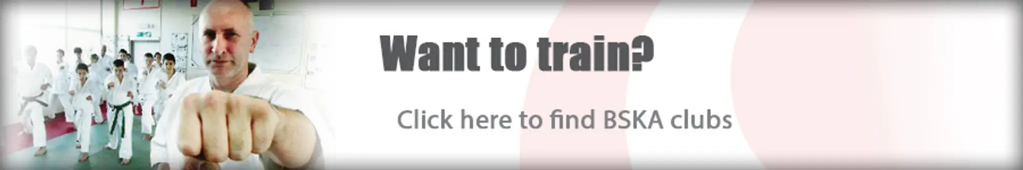 Wyre Forest Sankukai Karate Club