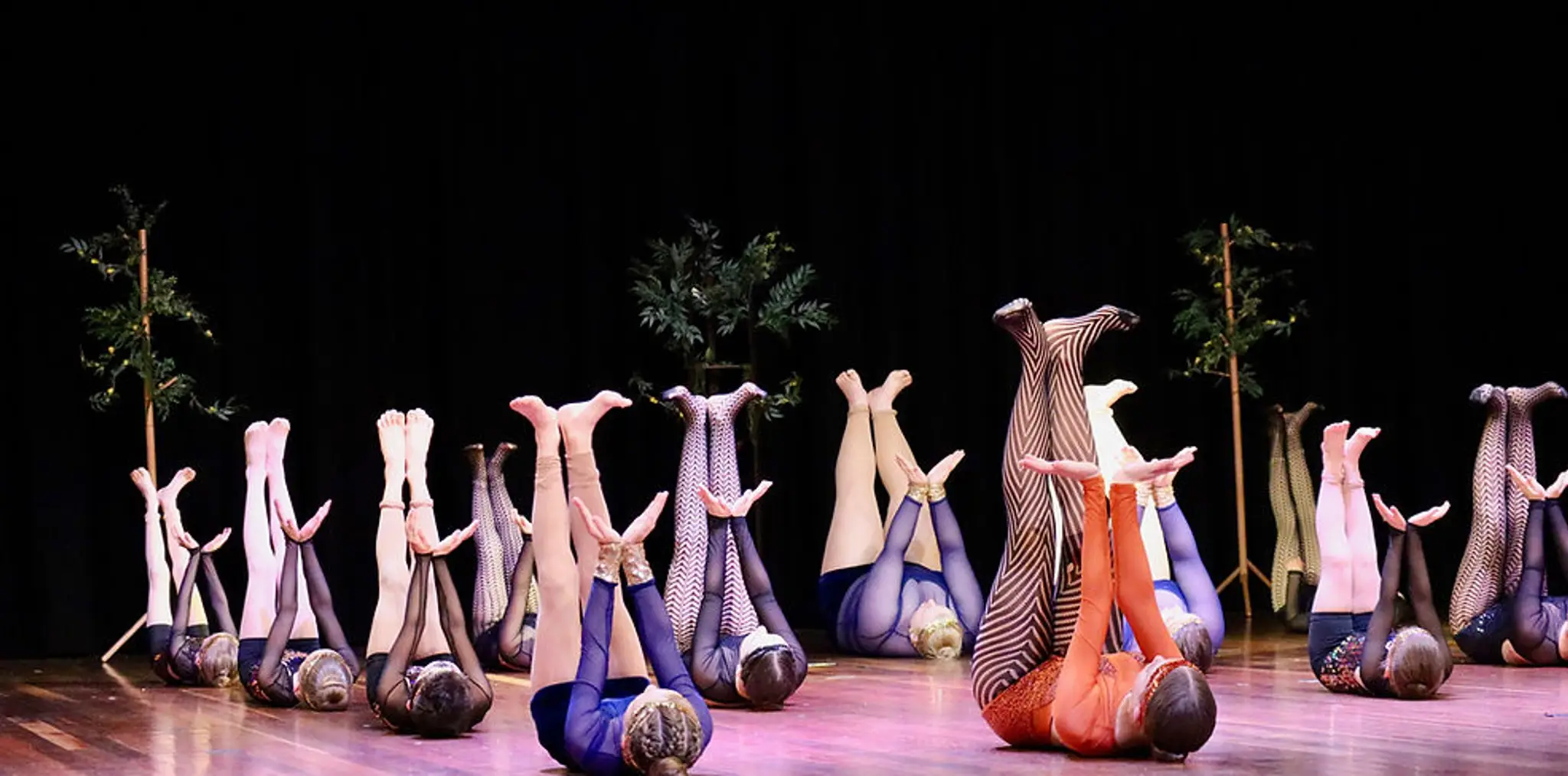 Bluebird Dance Theatre