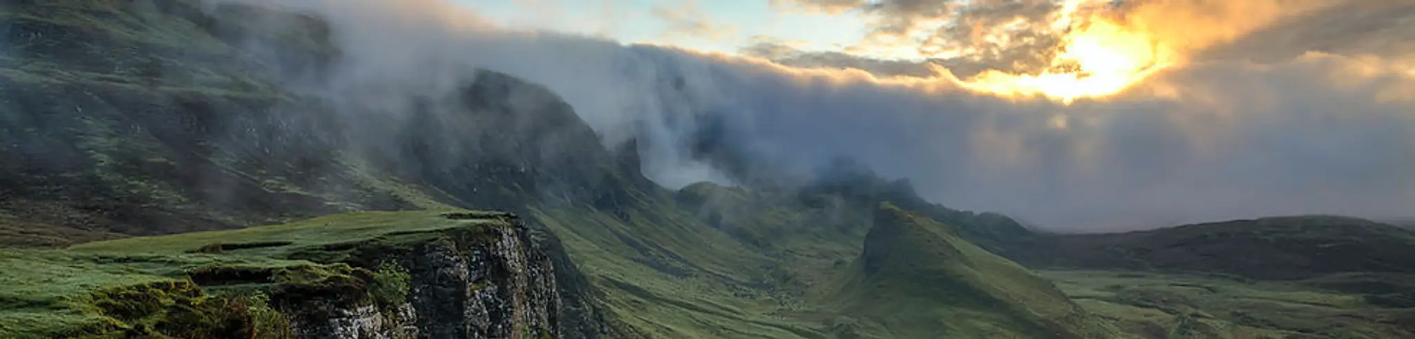 Function Revival Therapies