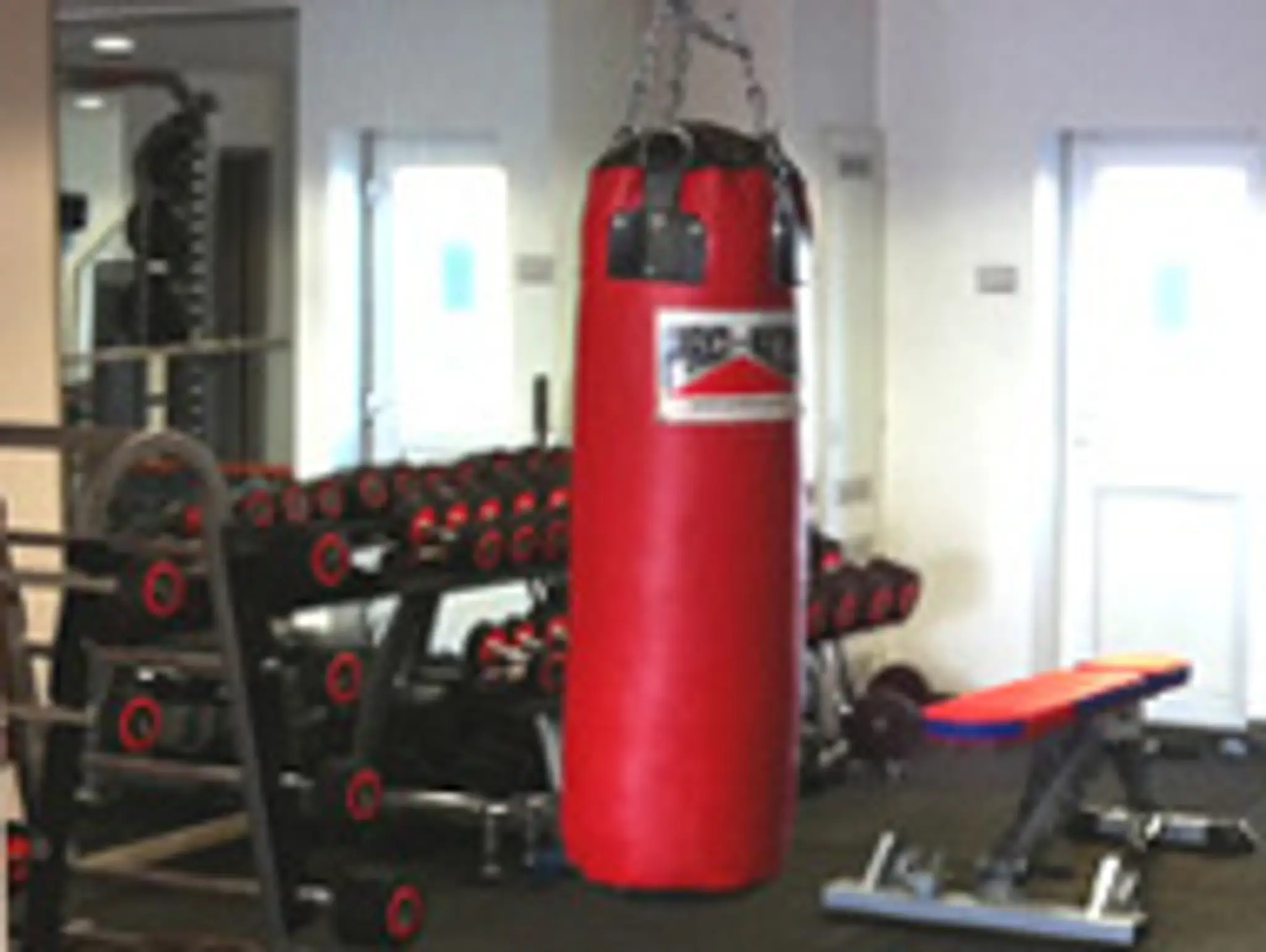 Craig Harper Fitness