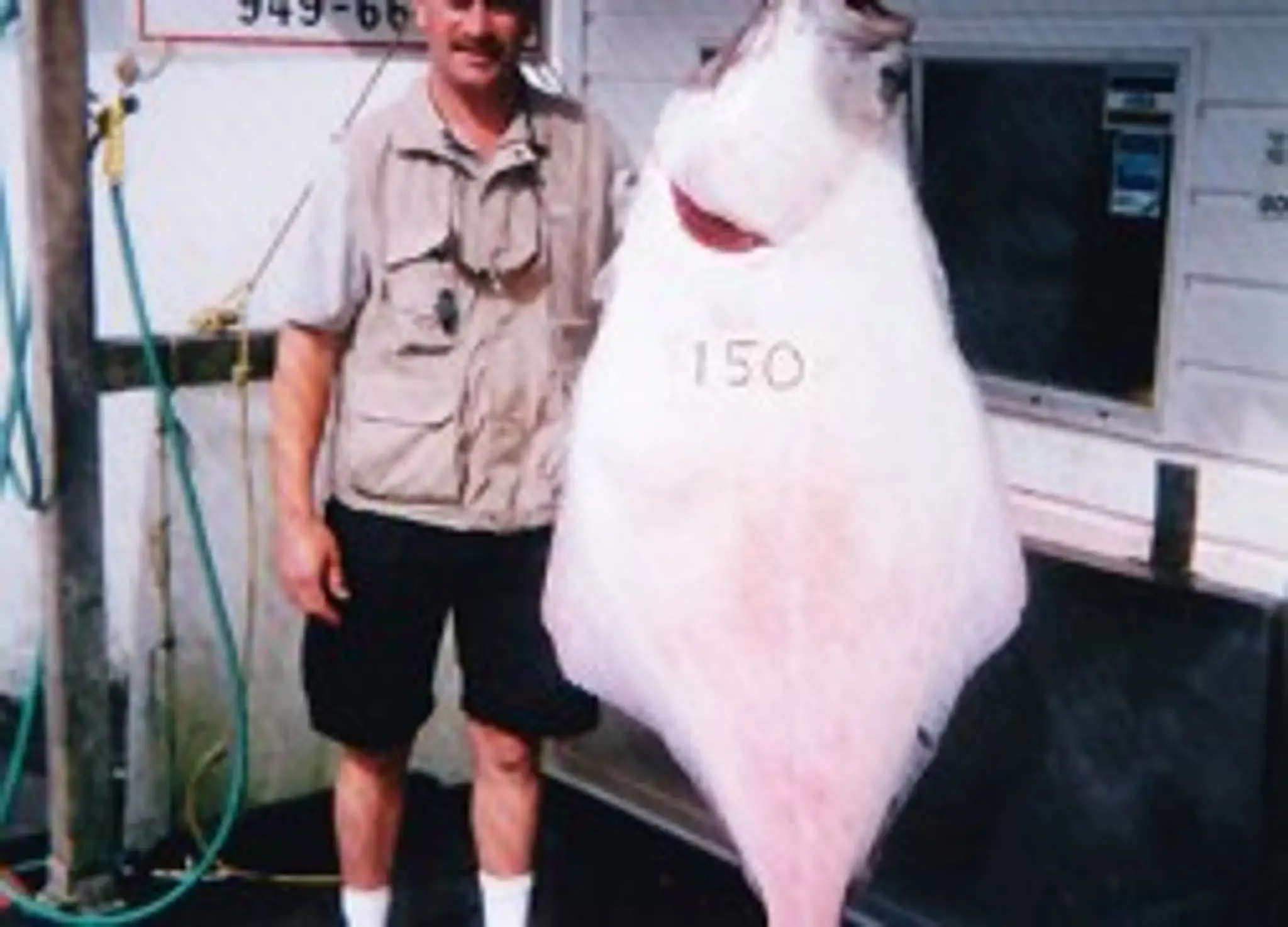 Codfather Charters Ltd