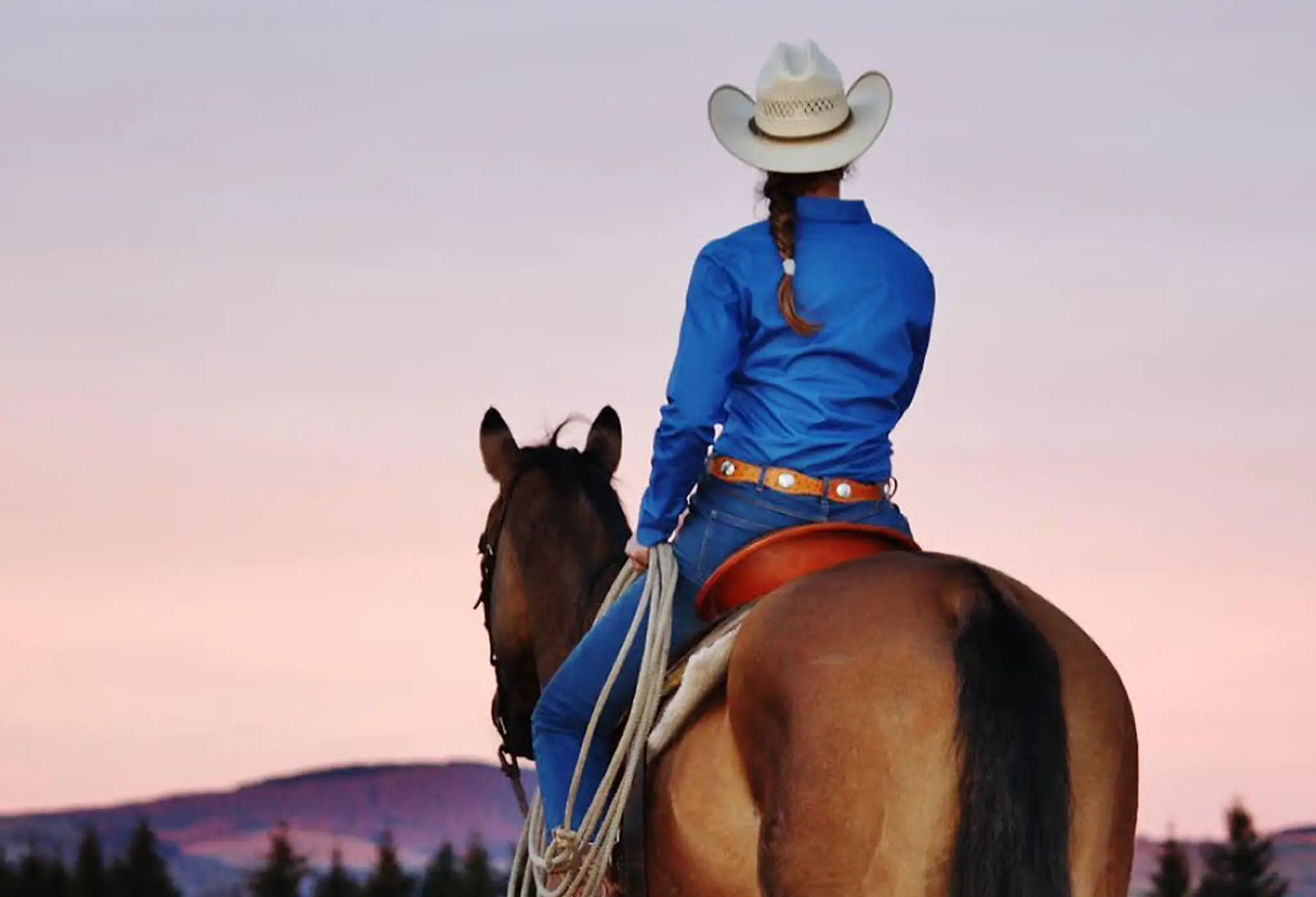 Roc'aubrac École D'équitation Western