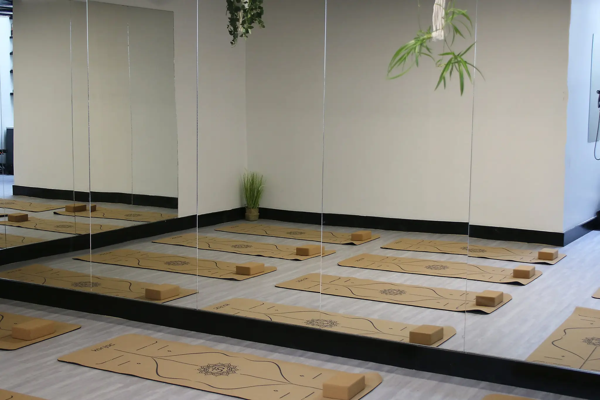 Lana & Friends Wellness Studio