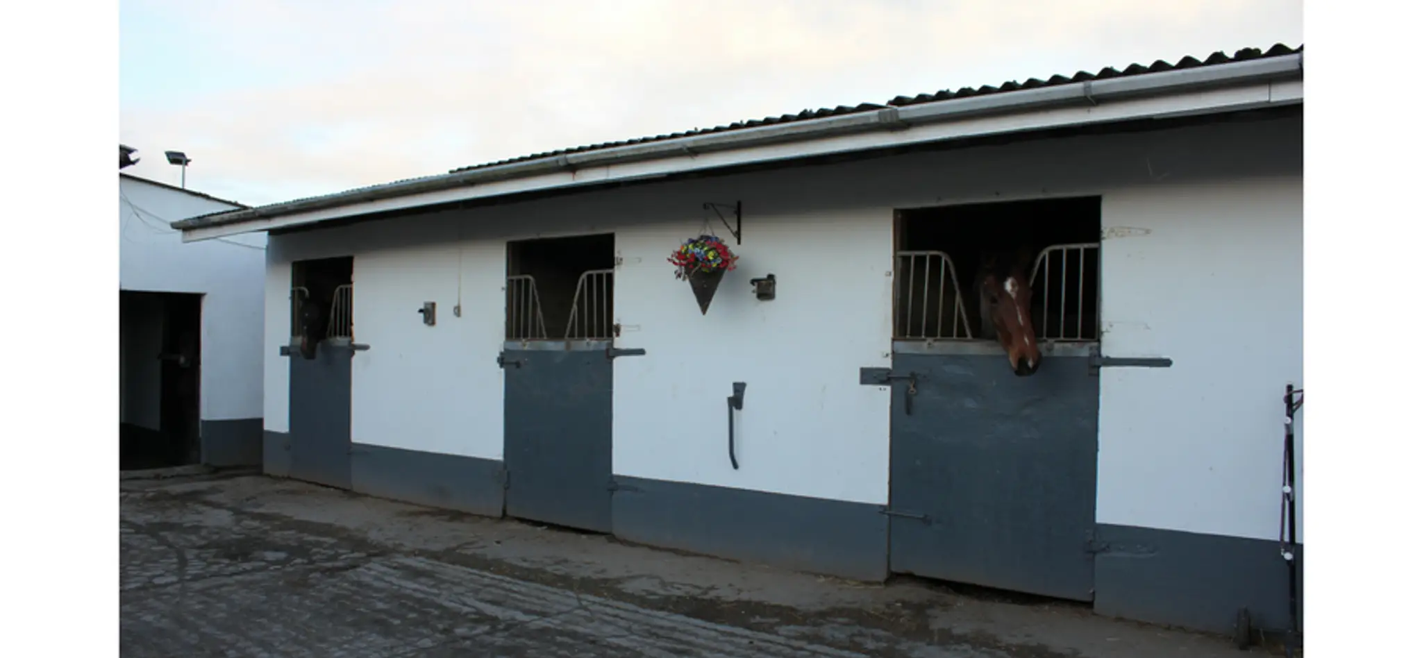 Duffys Equestrian Centre