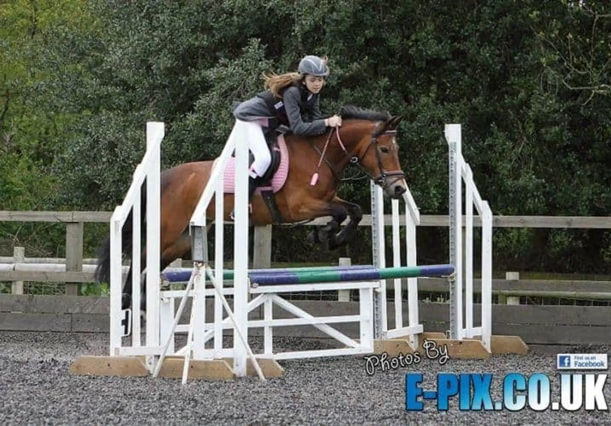 Squirrells Riding School