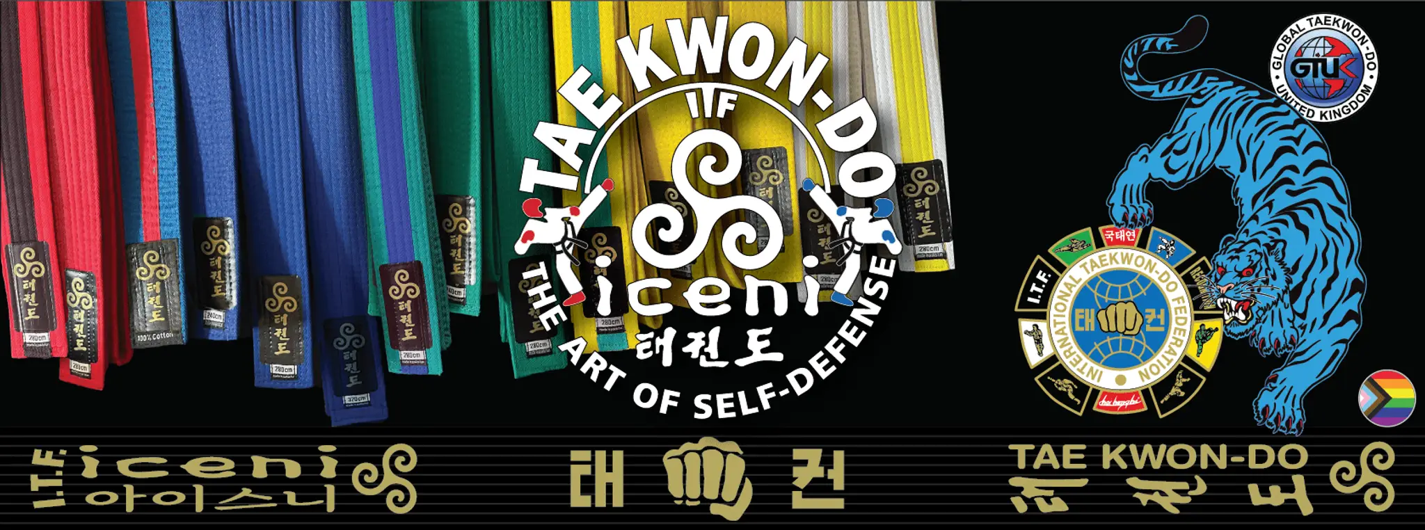 ICENI Taekwon-do Club