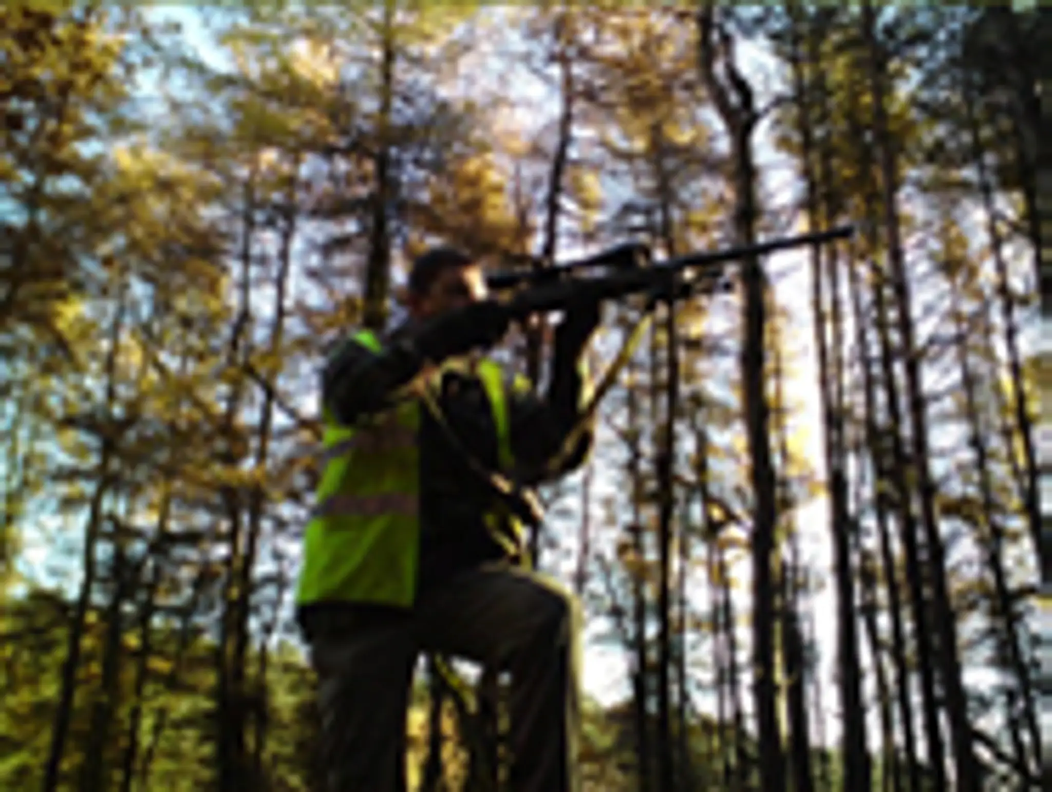 Stealth Woods - First and Only Airsoft