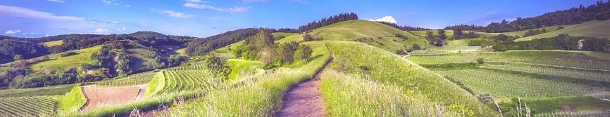 Frédéric ALBERT - Magnétiseur Hypnothérapeute