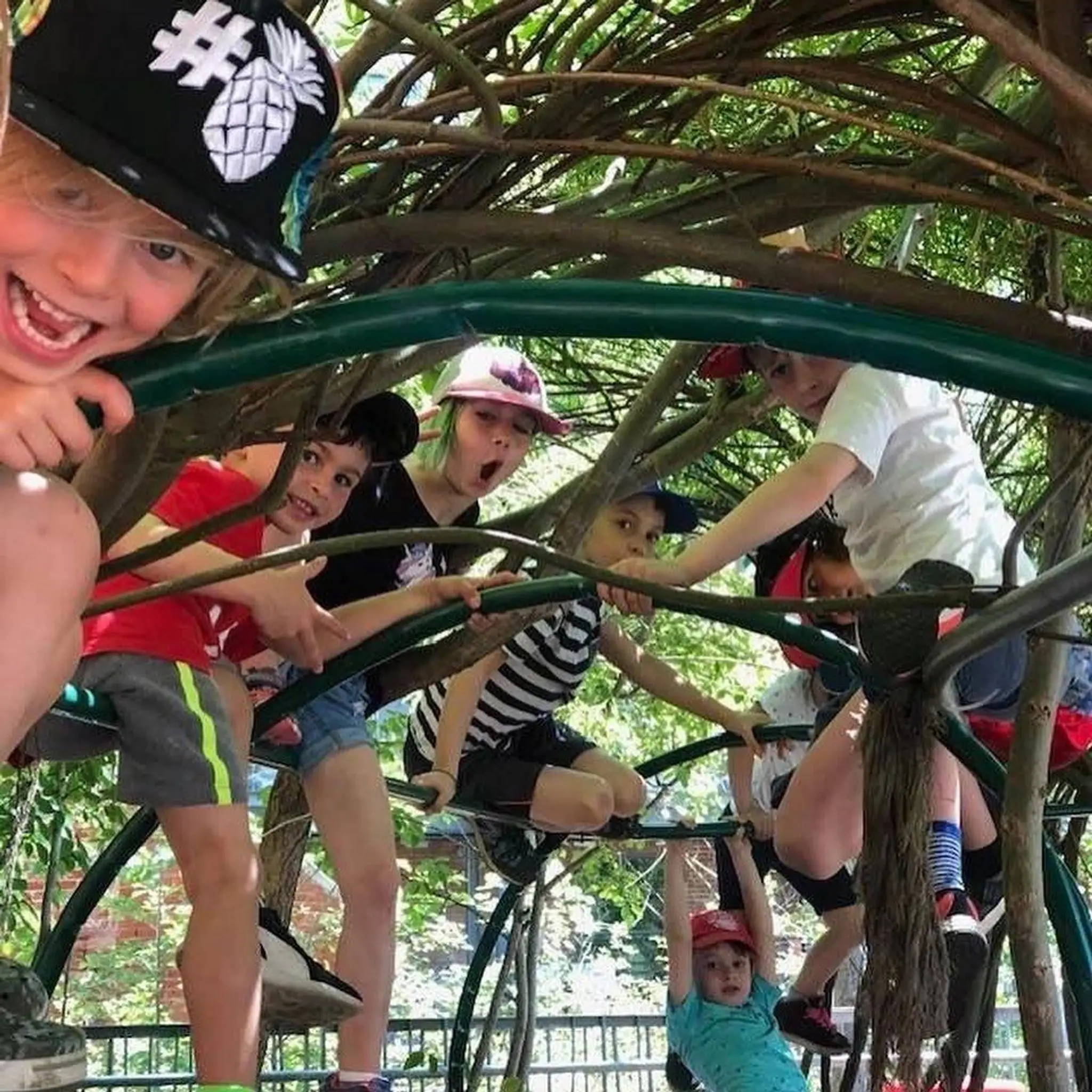 Dragonz Martial Artz Centre