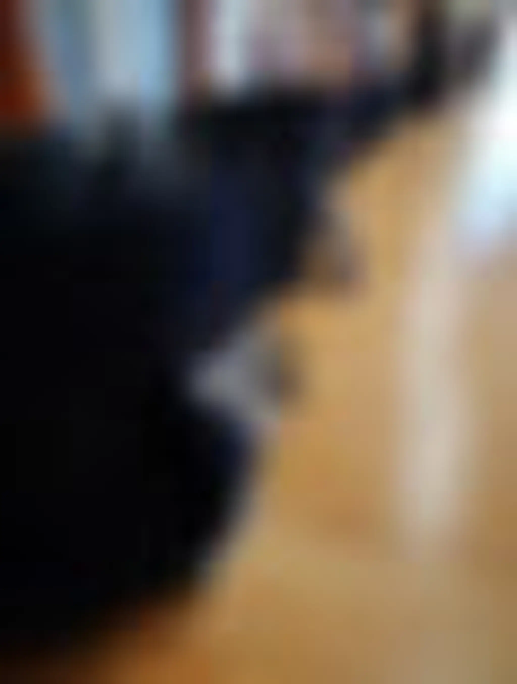 Kendo, l'art martial du Sabre Japonais