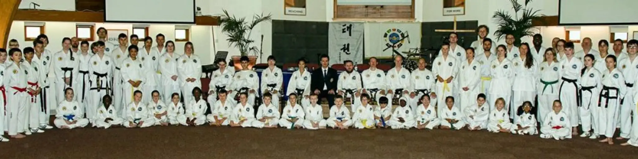 Independent Taekwon-Do Schools