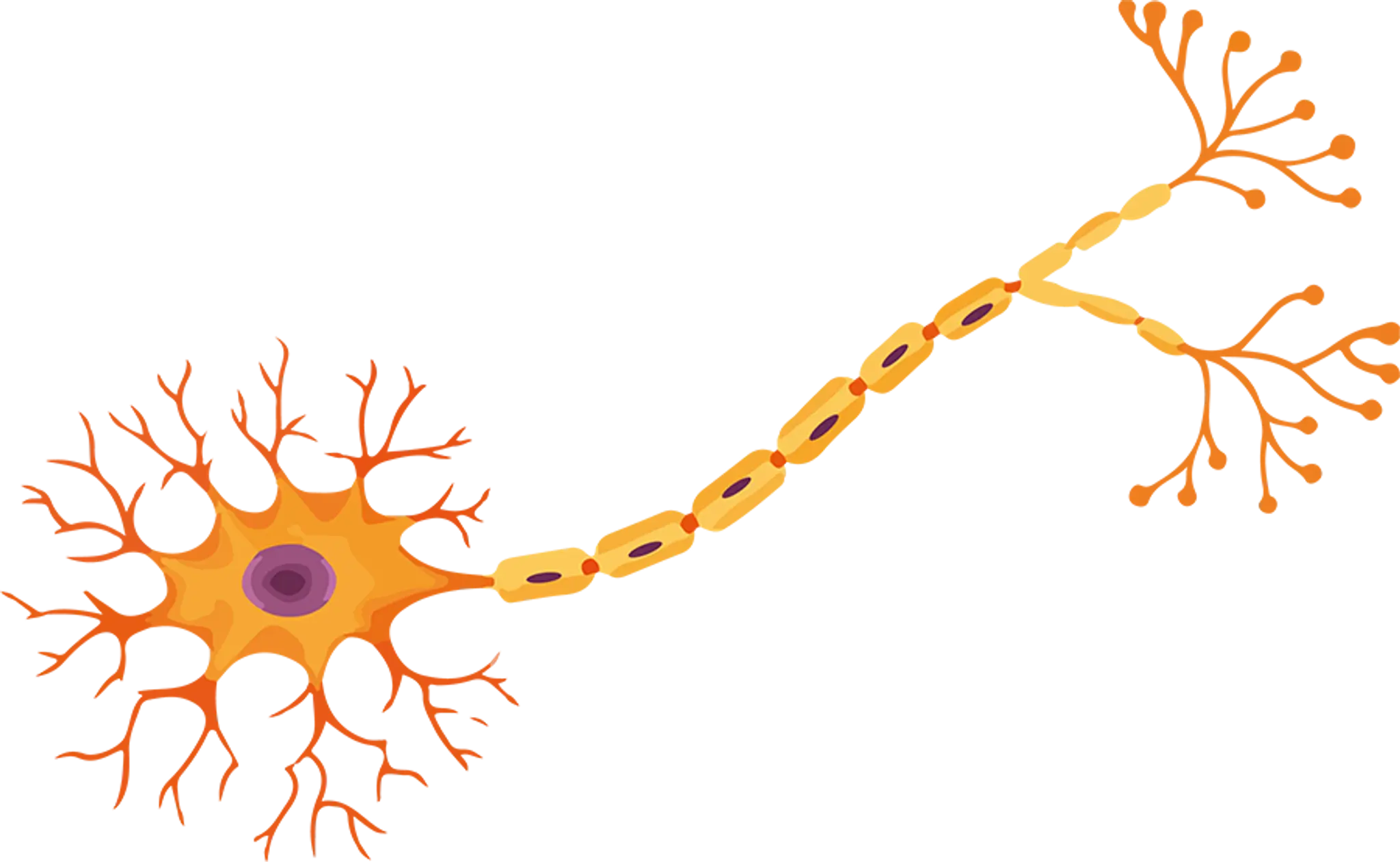 Little Millennium Riverfront, Pre-School and Daycare