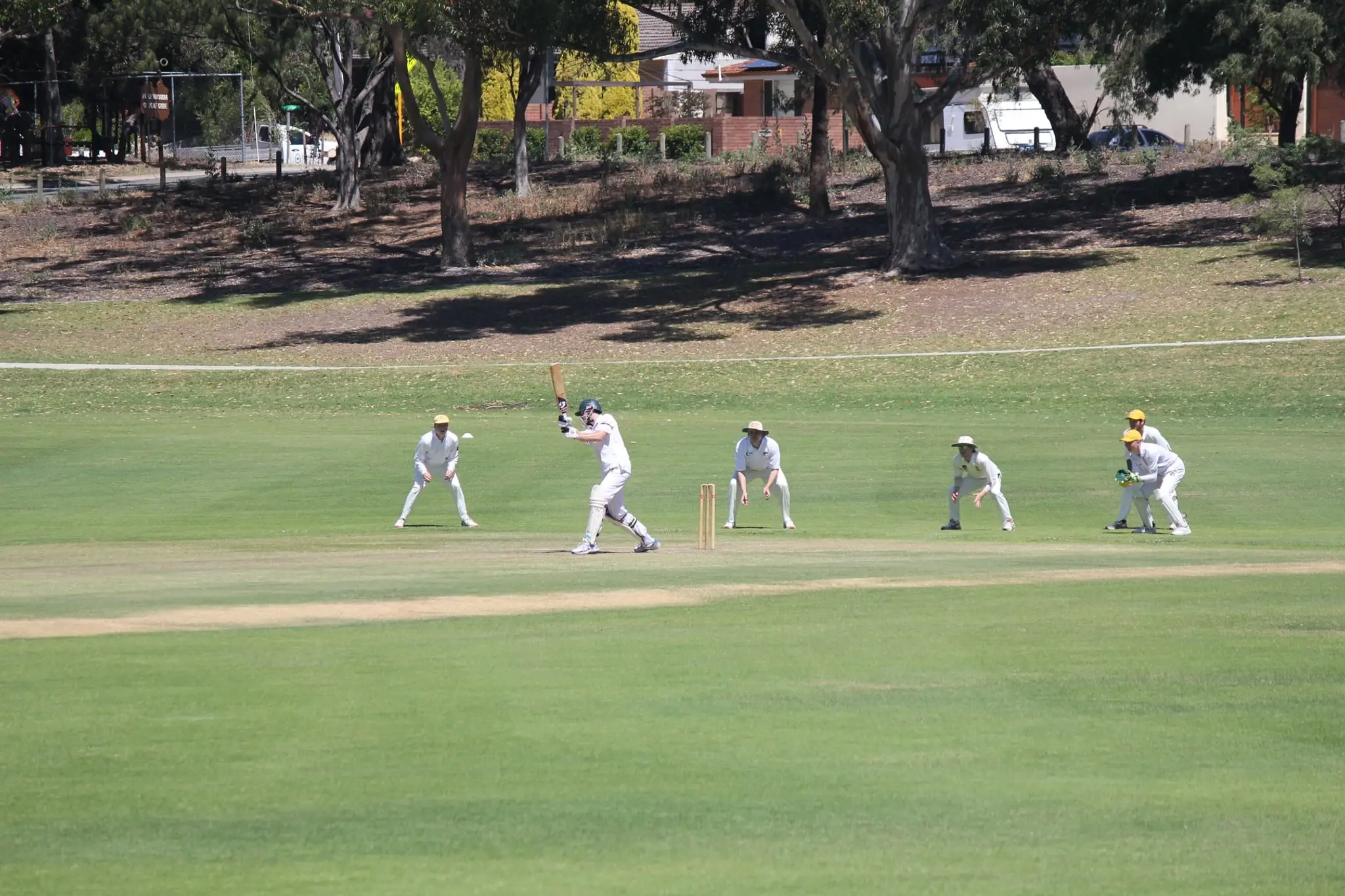 Whitfords & District Senior Cricket Club