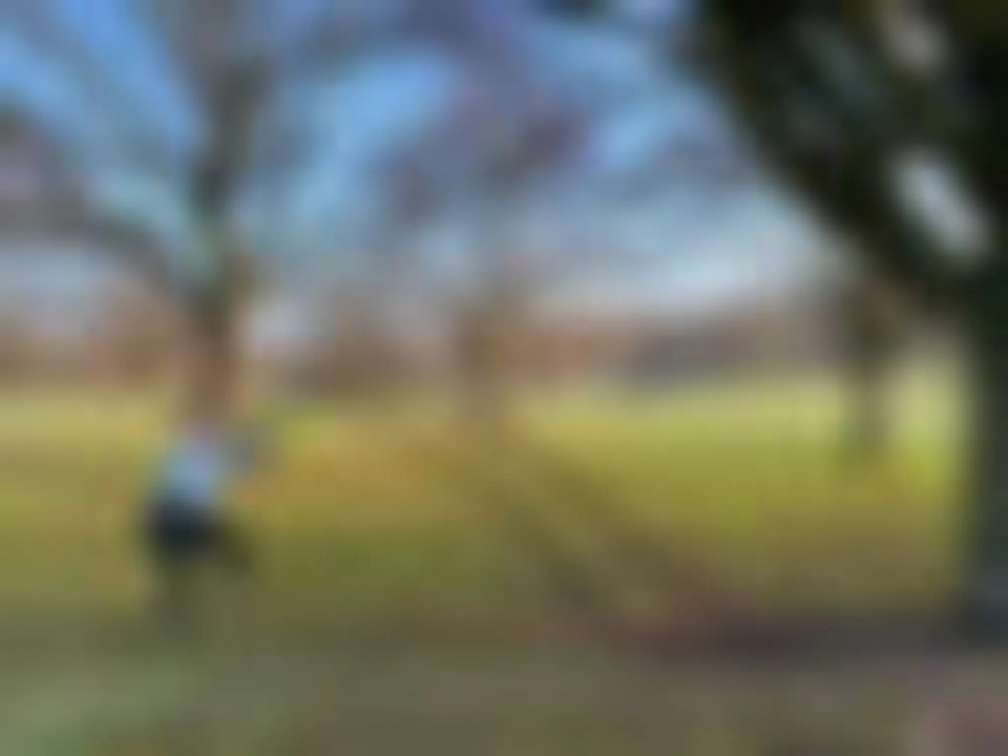 BECKFIT Fitness Classes In Beckenham Place Park & Beckenham Green