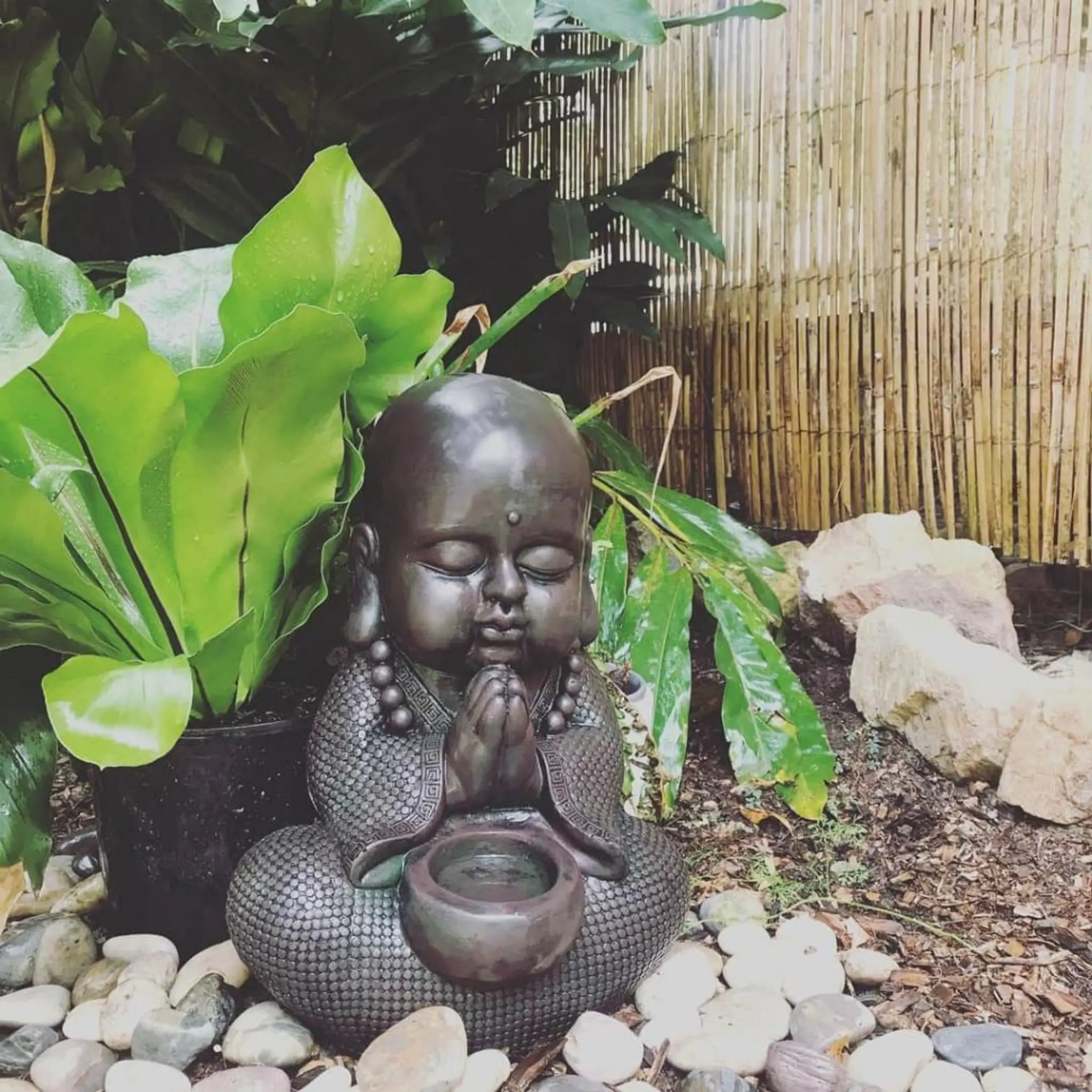 Noosa Hinterland Yoga