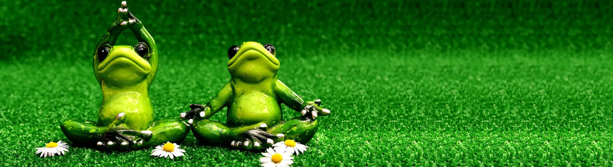 Yoga'ttitude