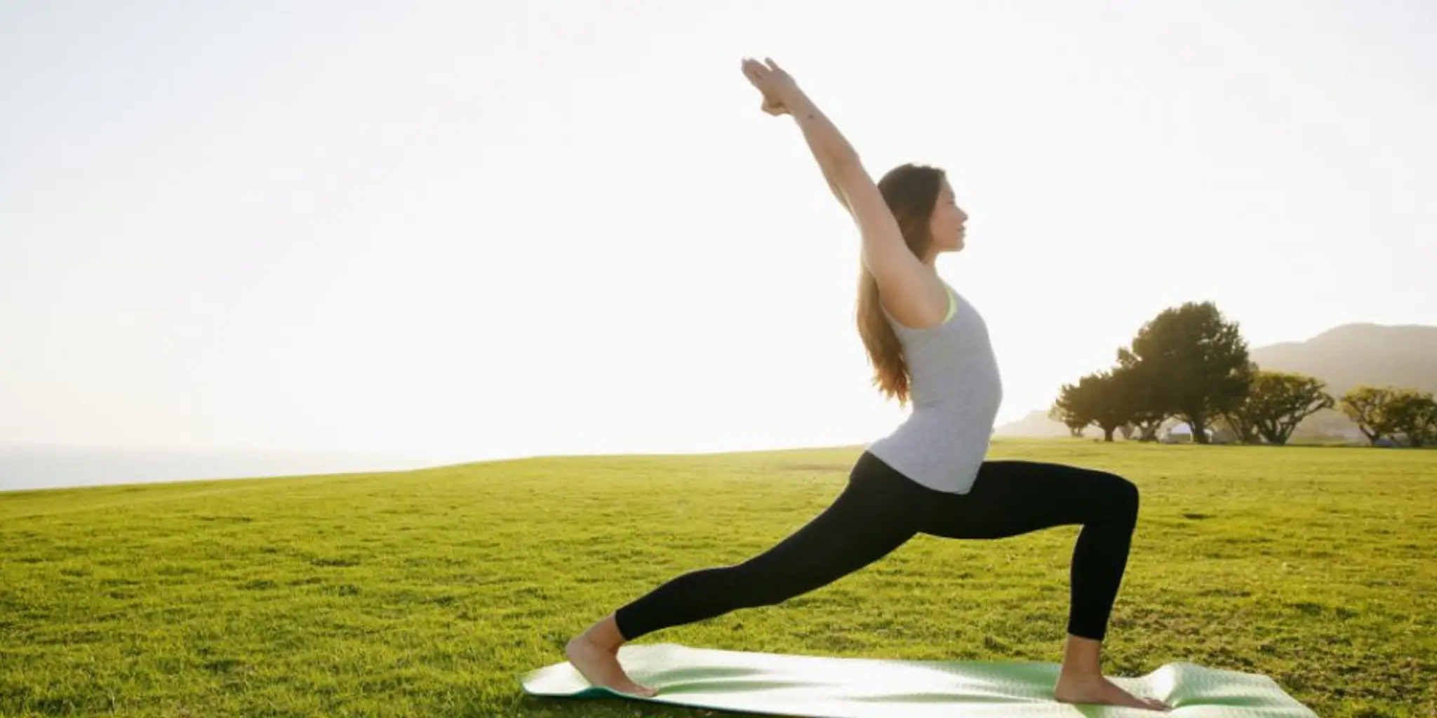 Sous Mon Arbre Yoga Sur Mesure Entre Lille Et Dunkerque.