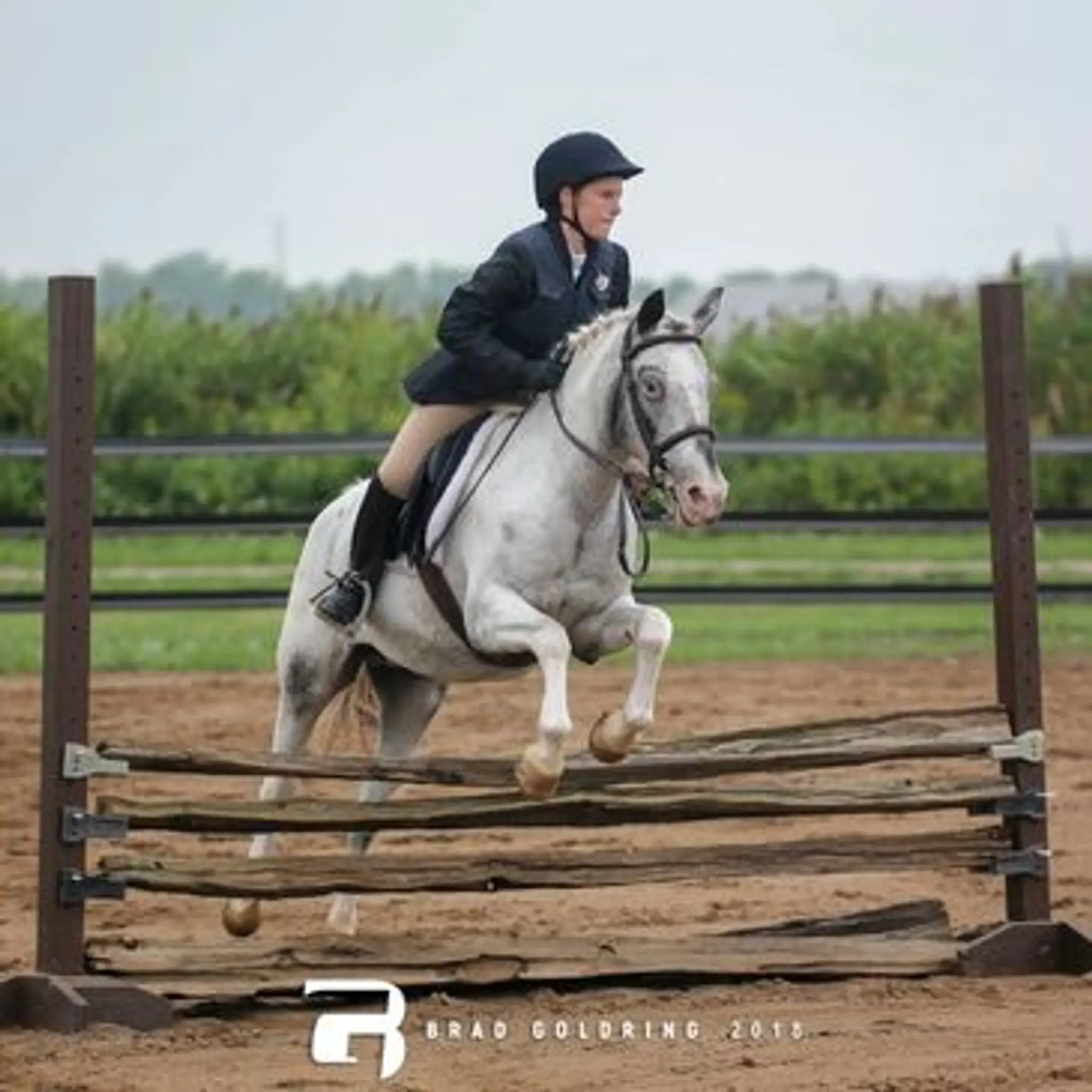 Maplegrove Equestrian Centre