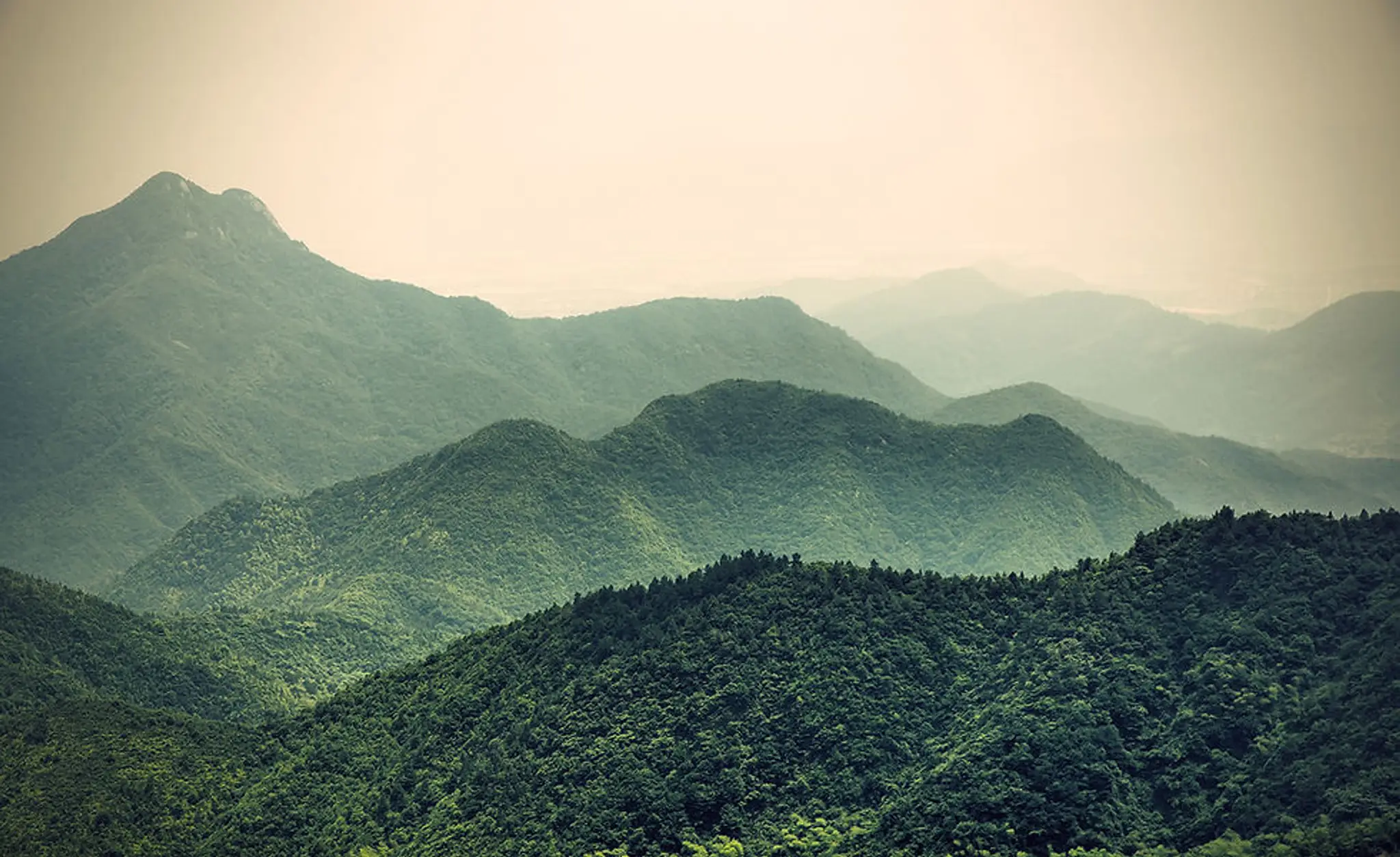 Aiglemont Aikido Club