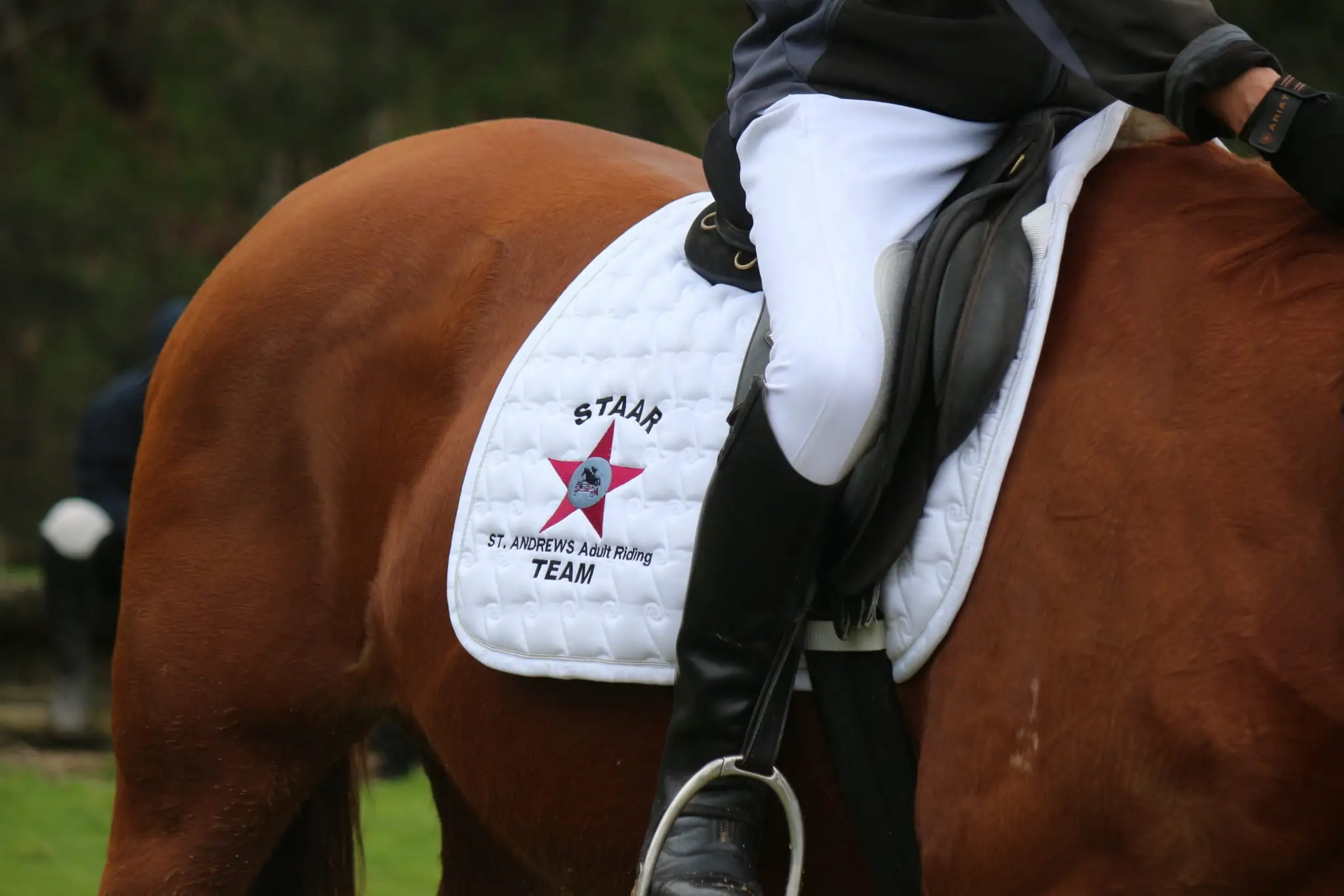 St Andrews Adult Riding Club