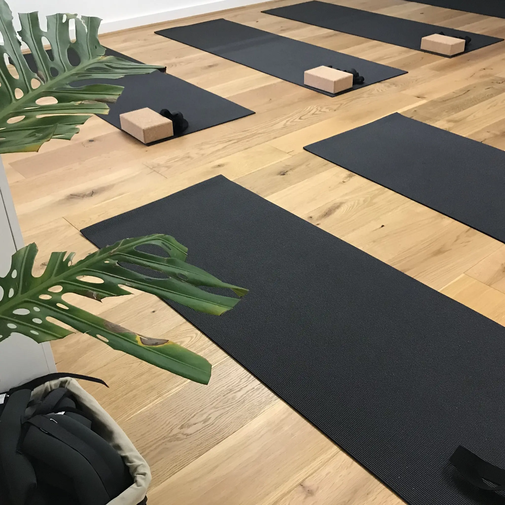 Chelsea Heights Yoga