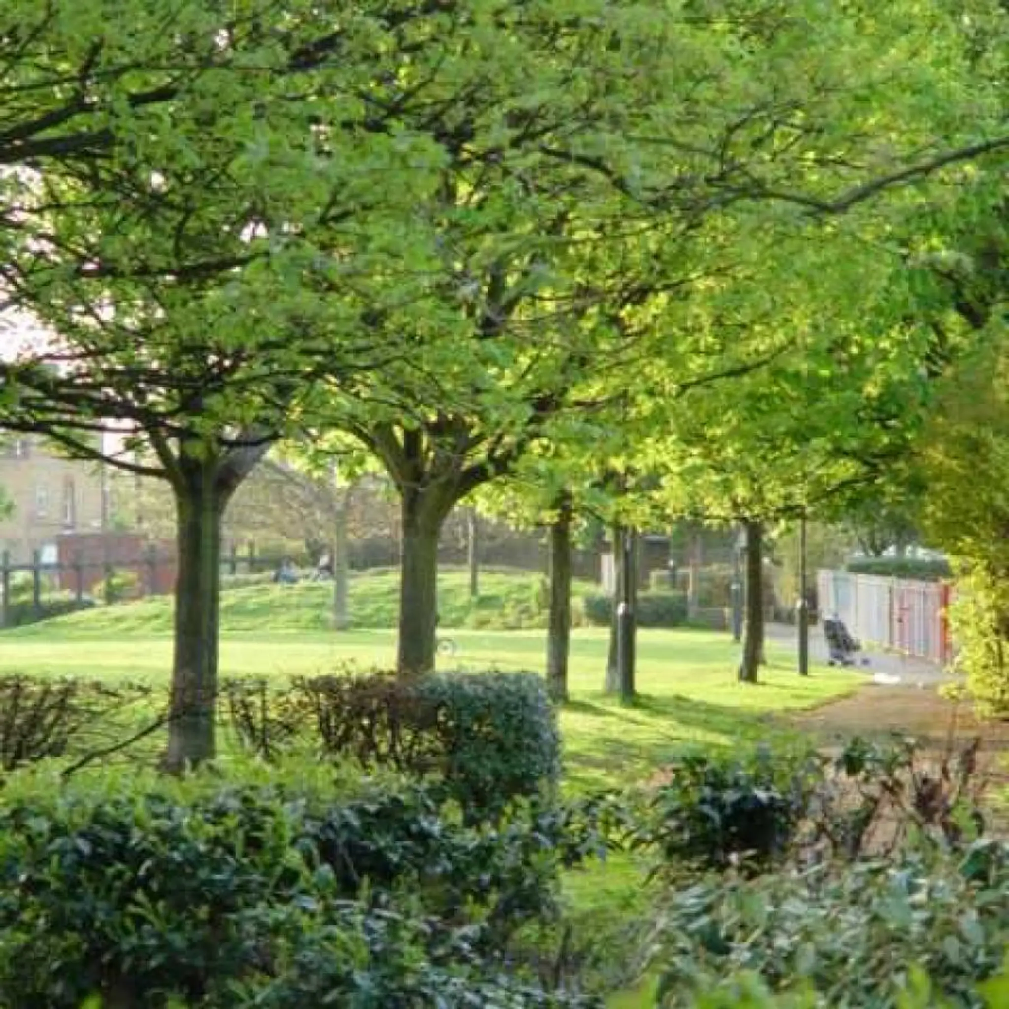 Larkhall Park