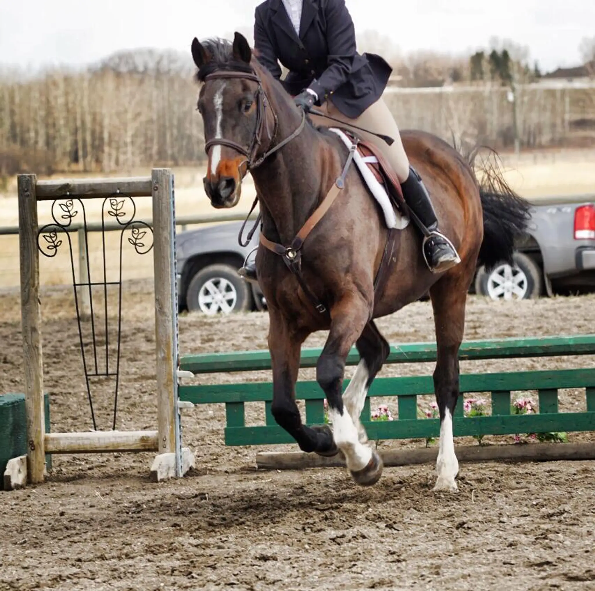 Willow Grove Stables