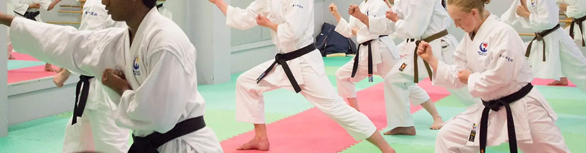 Hamilton Wado-Kai Karate Club inc - Yoshin Wadokan Dojo