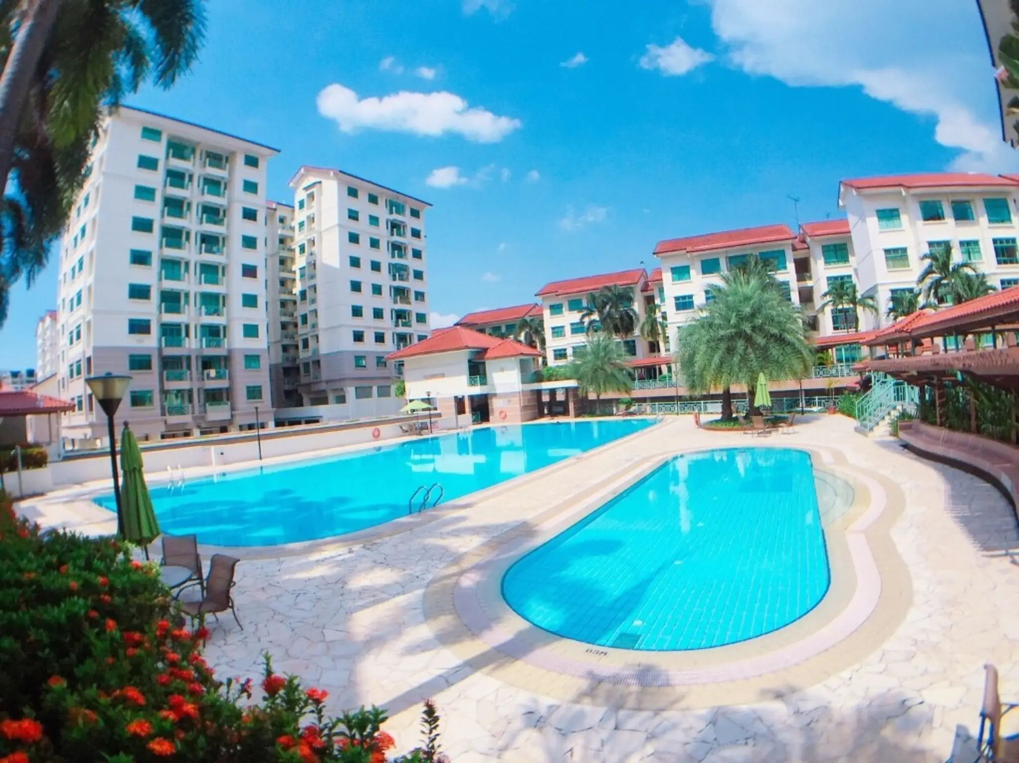 Aqua Road Swimming School