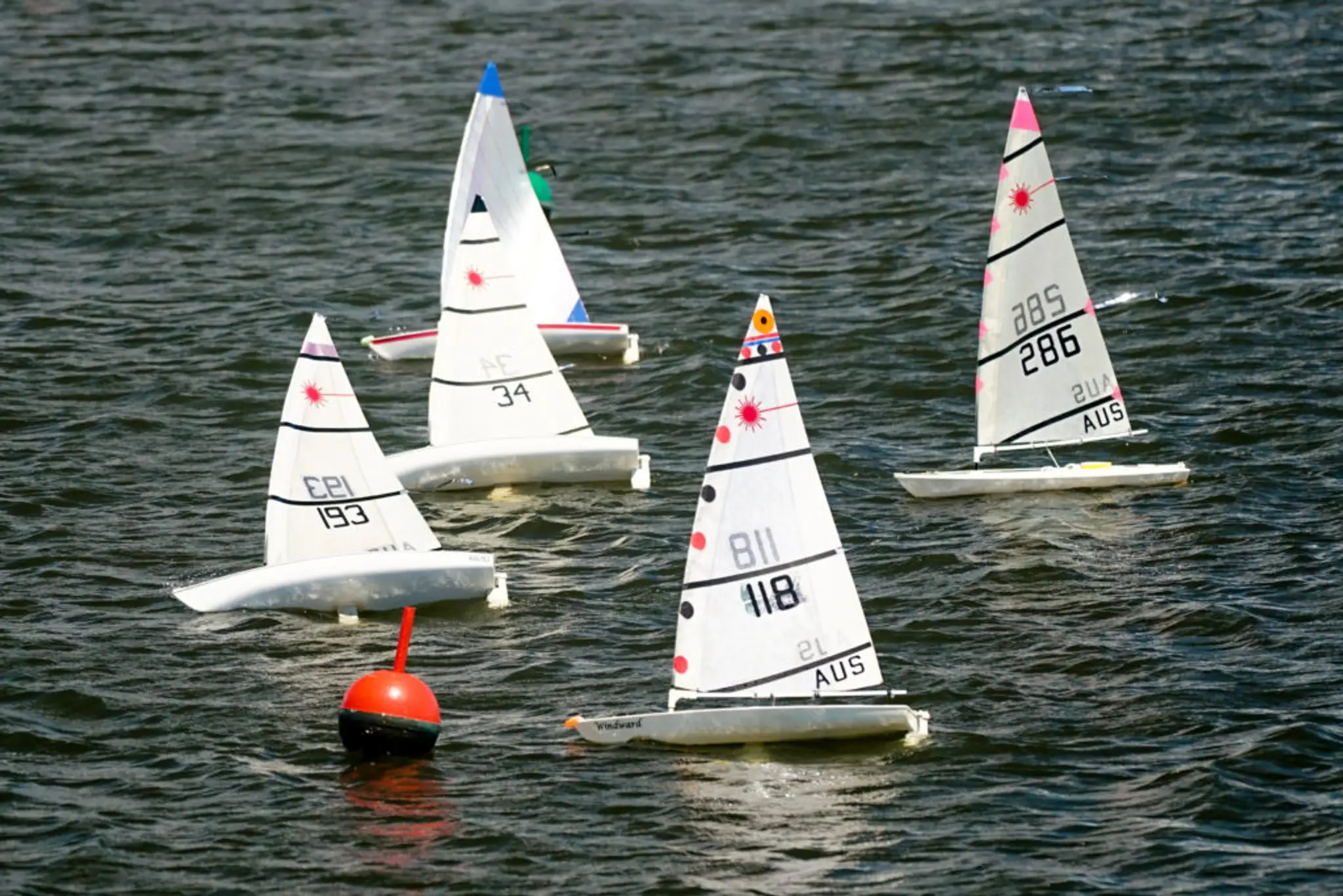 Sunshine Coast Radio Sailing Club