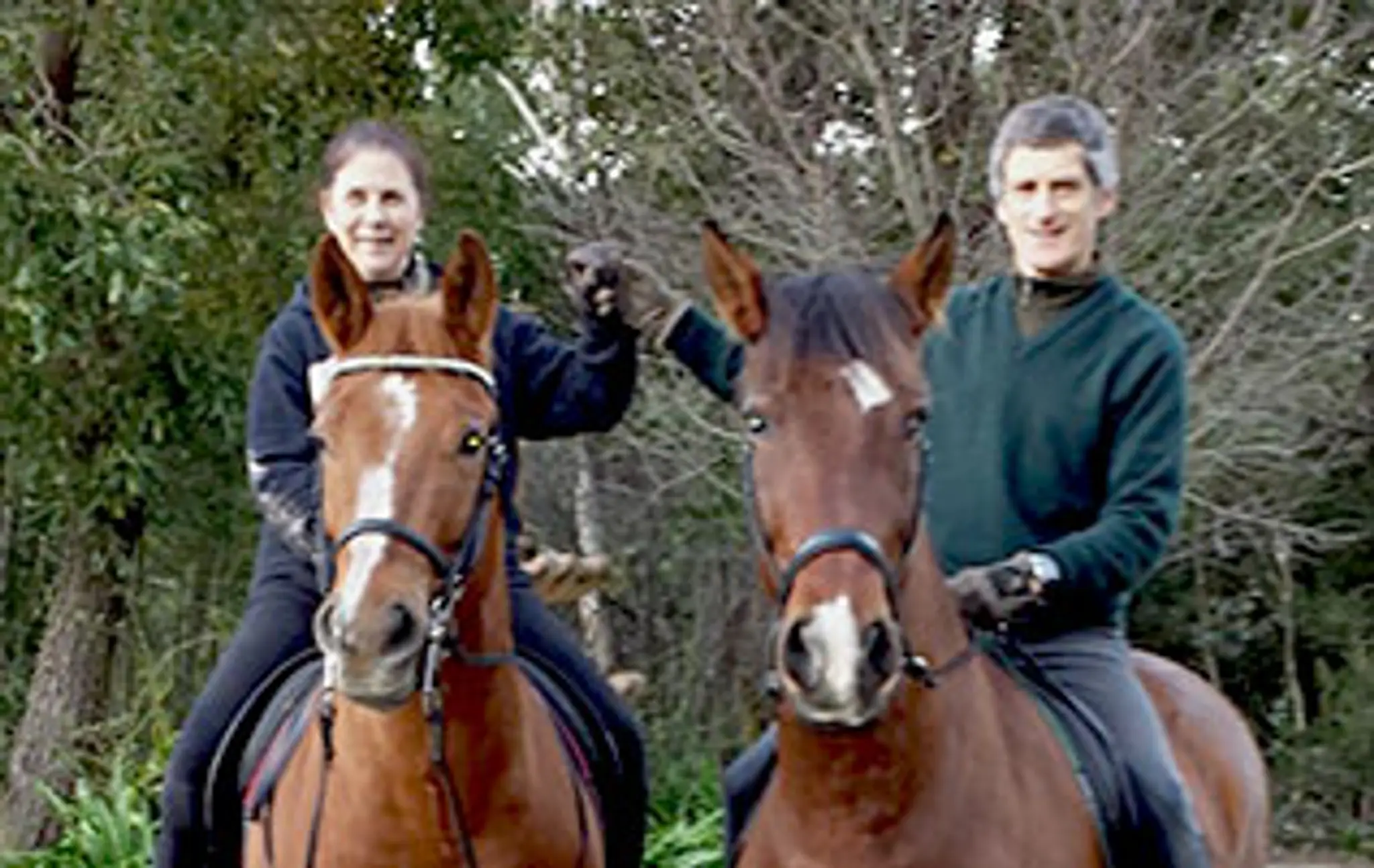 Academy of Dressage Pty Ltd