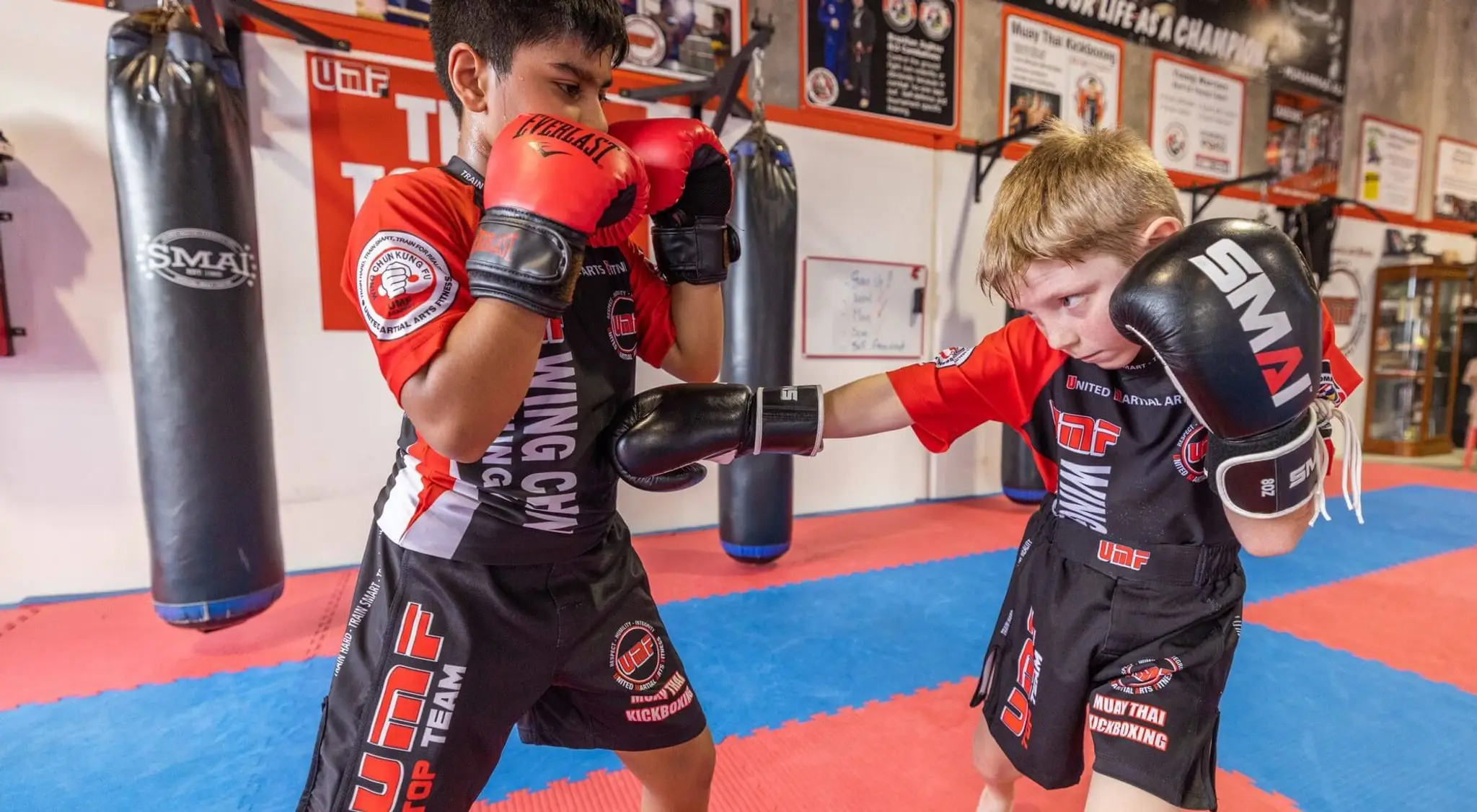 UMF Academy (United Martial Arts & Fitness)