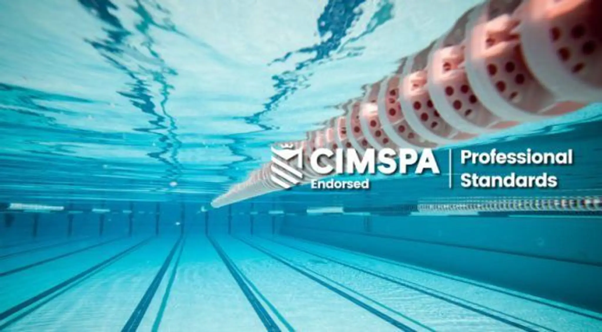 HALF Fish HQ @ Daisyfield Pools