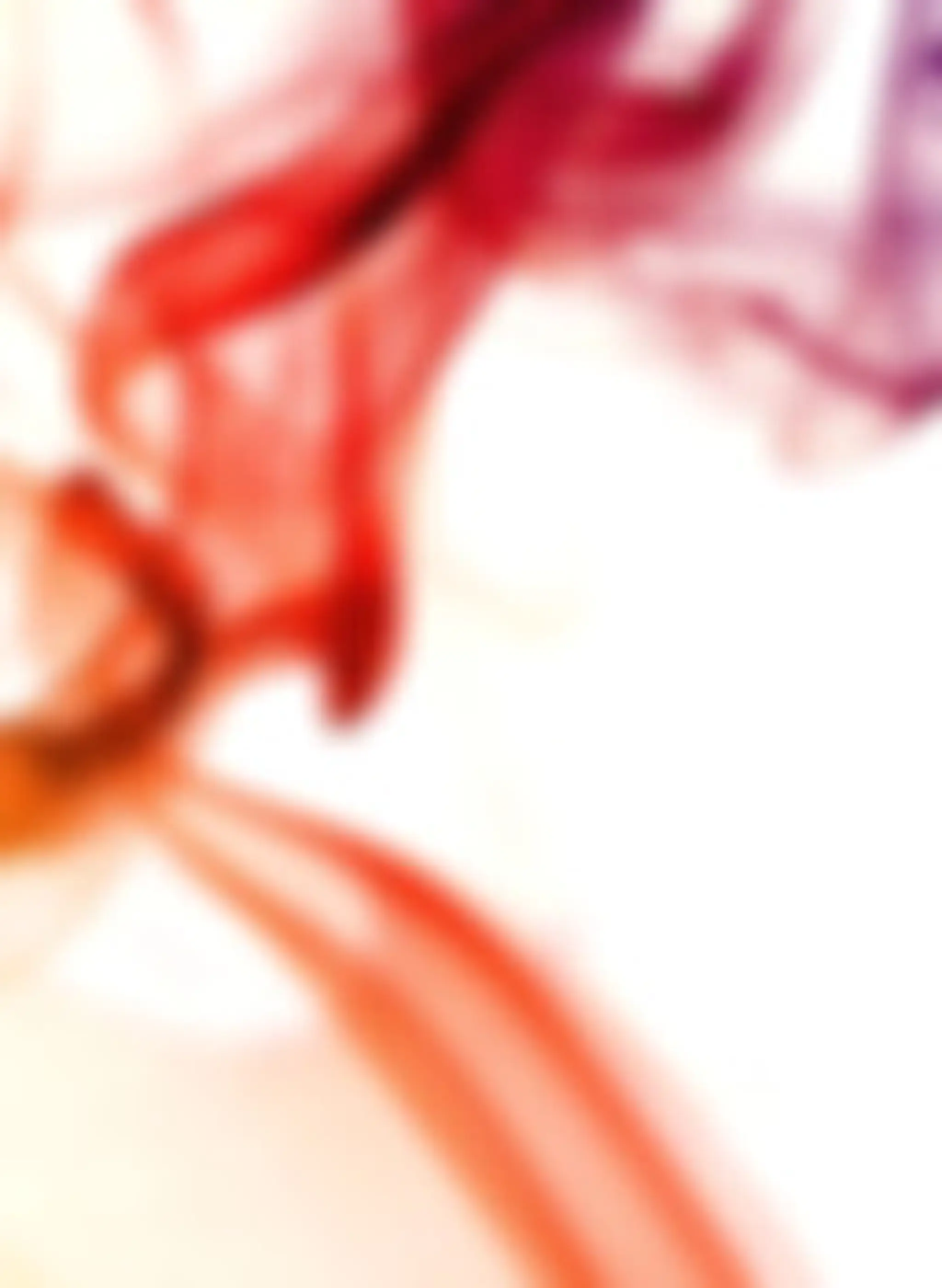 Open Up - Delphine Angelier - Coach professionnelle certifiée RNCP - Bien-être et dynamique professionnelle