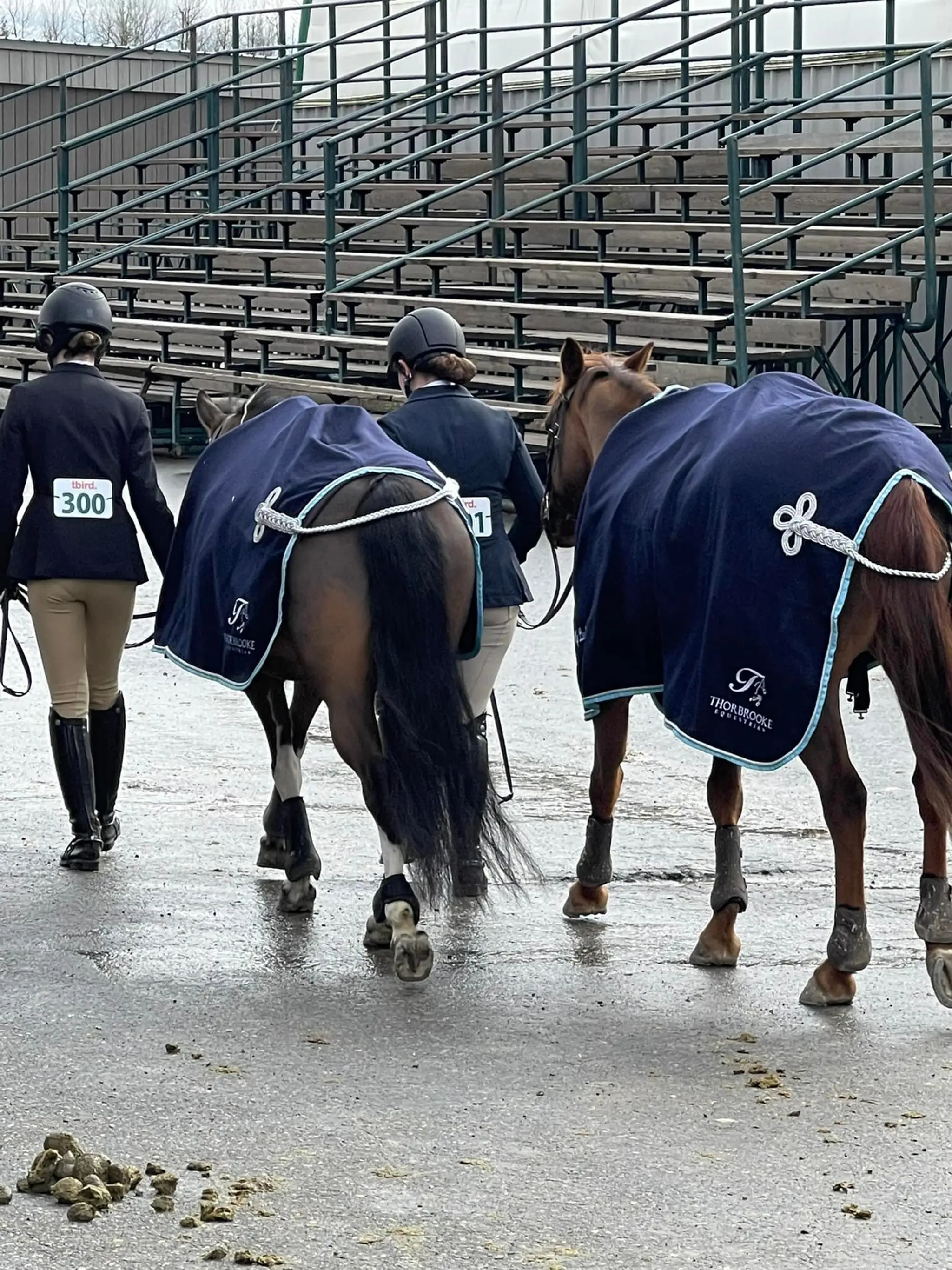 Thorbrooke Equestrian