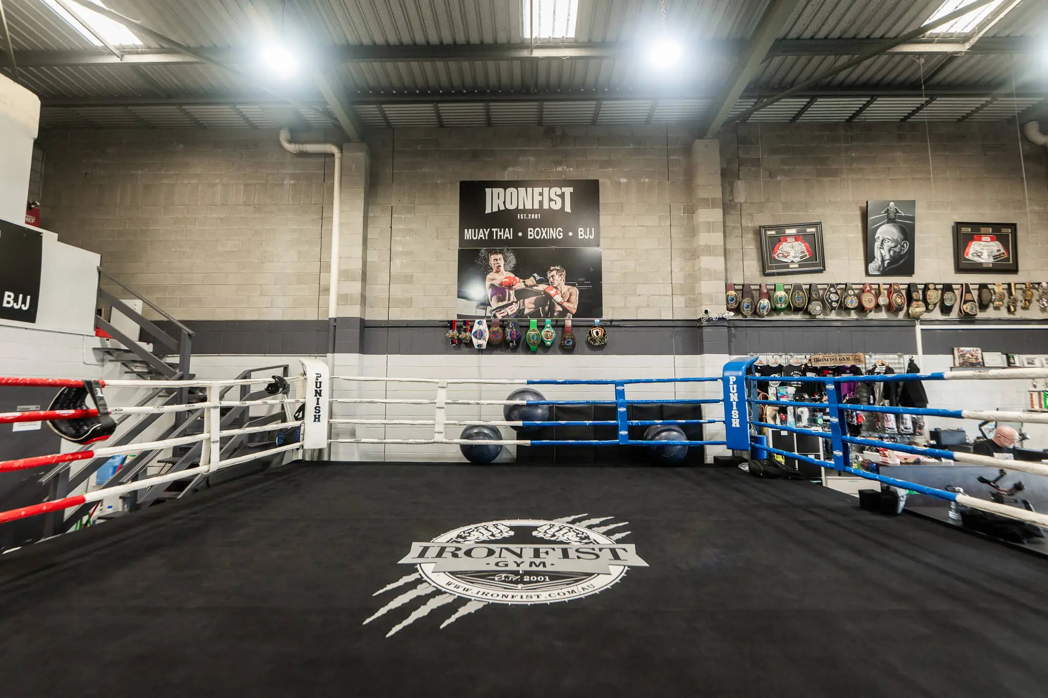 The Ironfist Gym EST 2001 - Muay Thai, Boxing, Brazilian Jiu Jitsu & MMA