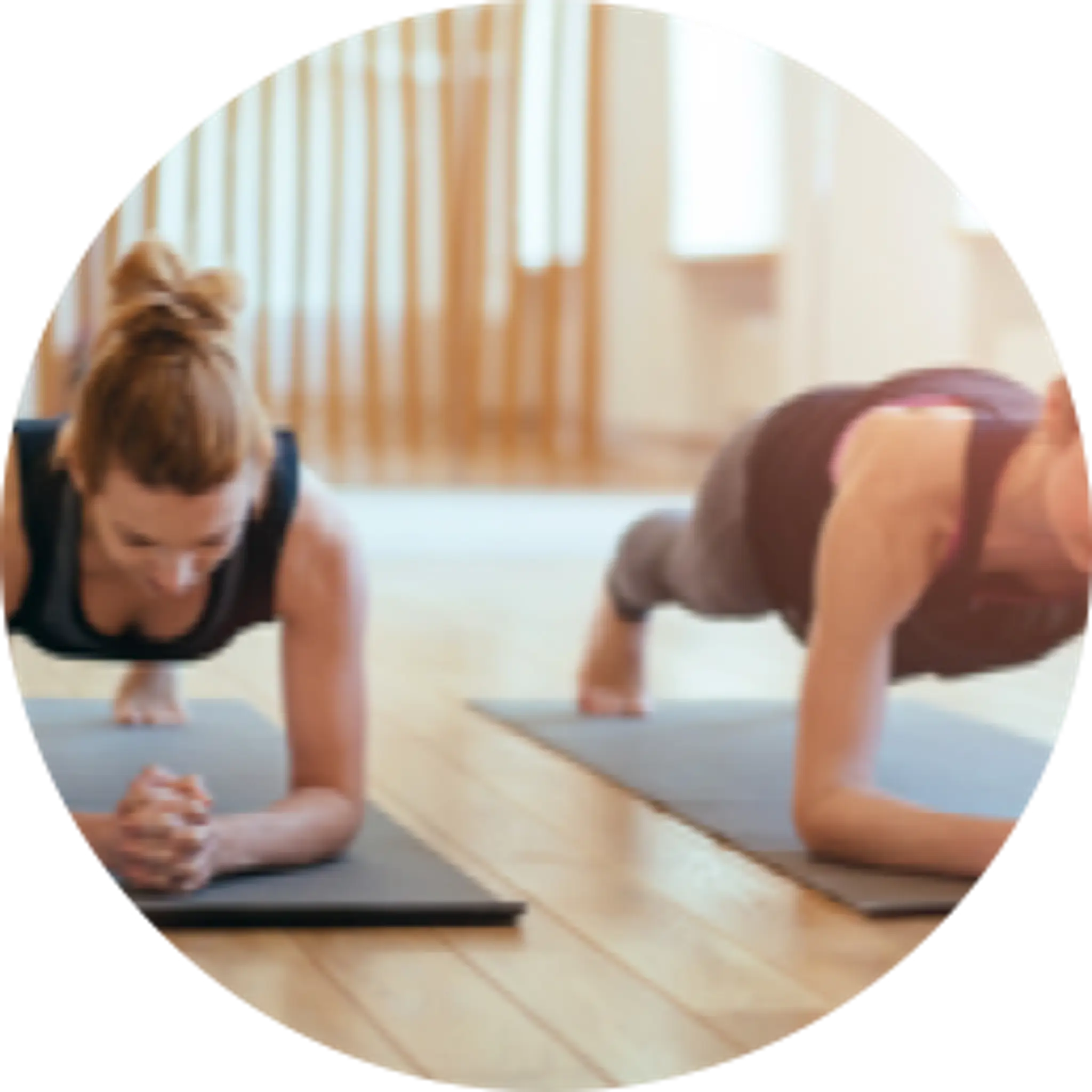 Delfino-Runser Clara