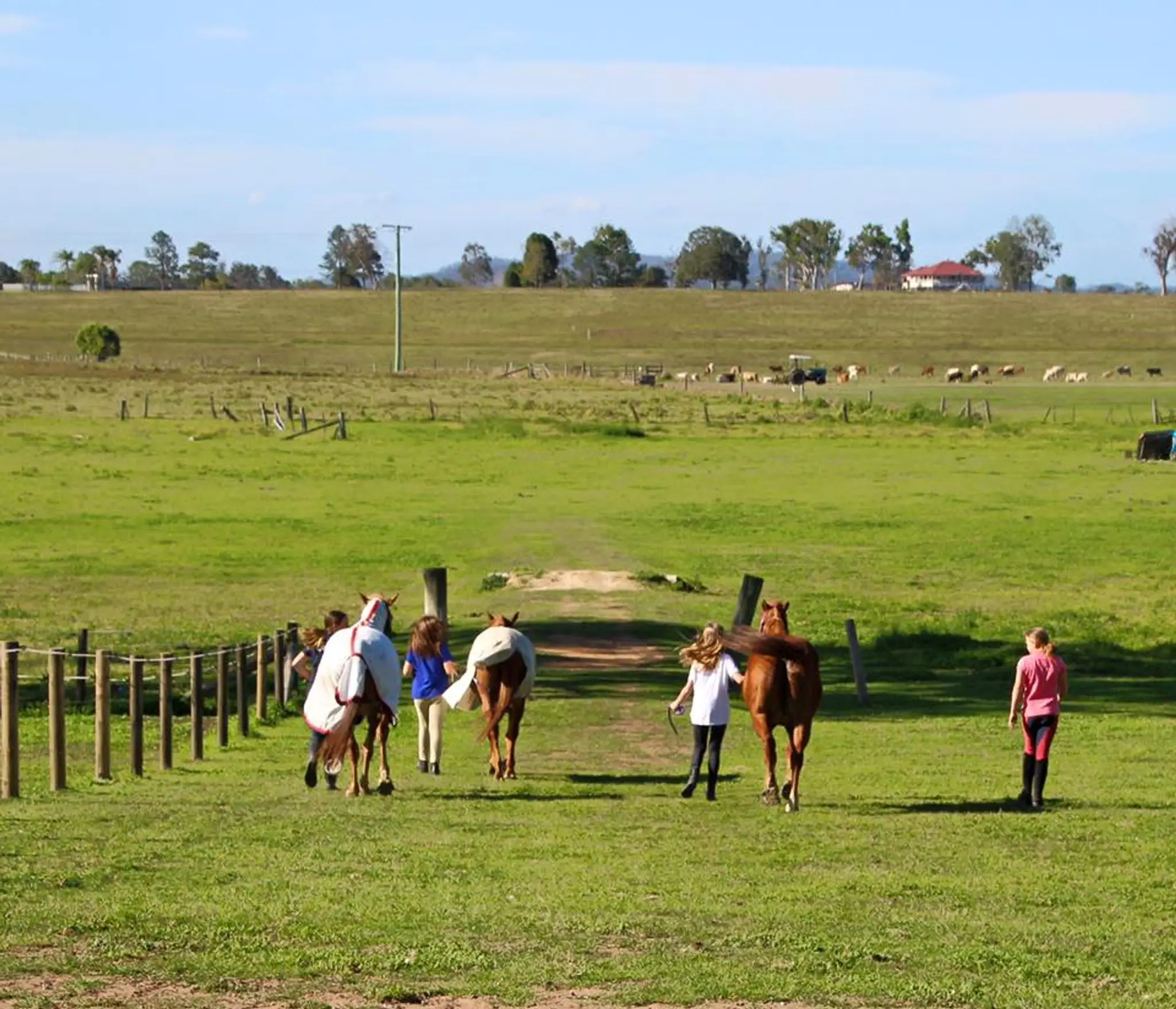 Sundown Lodge Equestrian