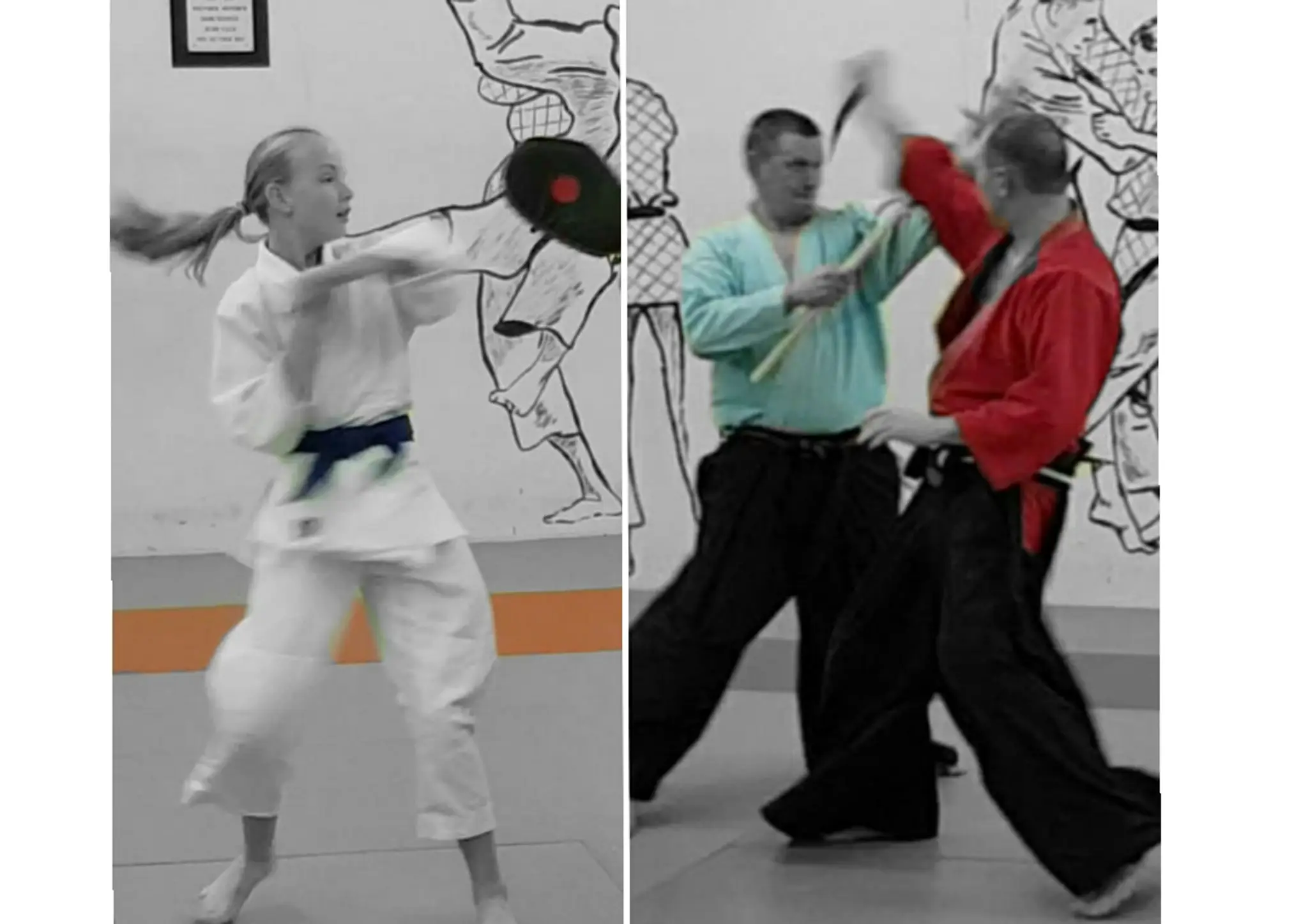 Dorchester Fudoshin Jujitsu & Martial Arts