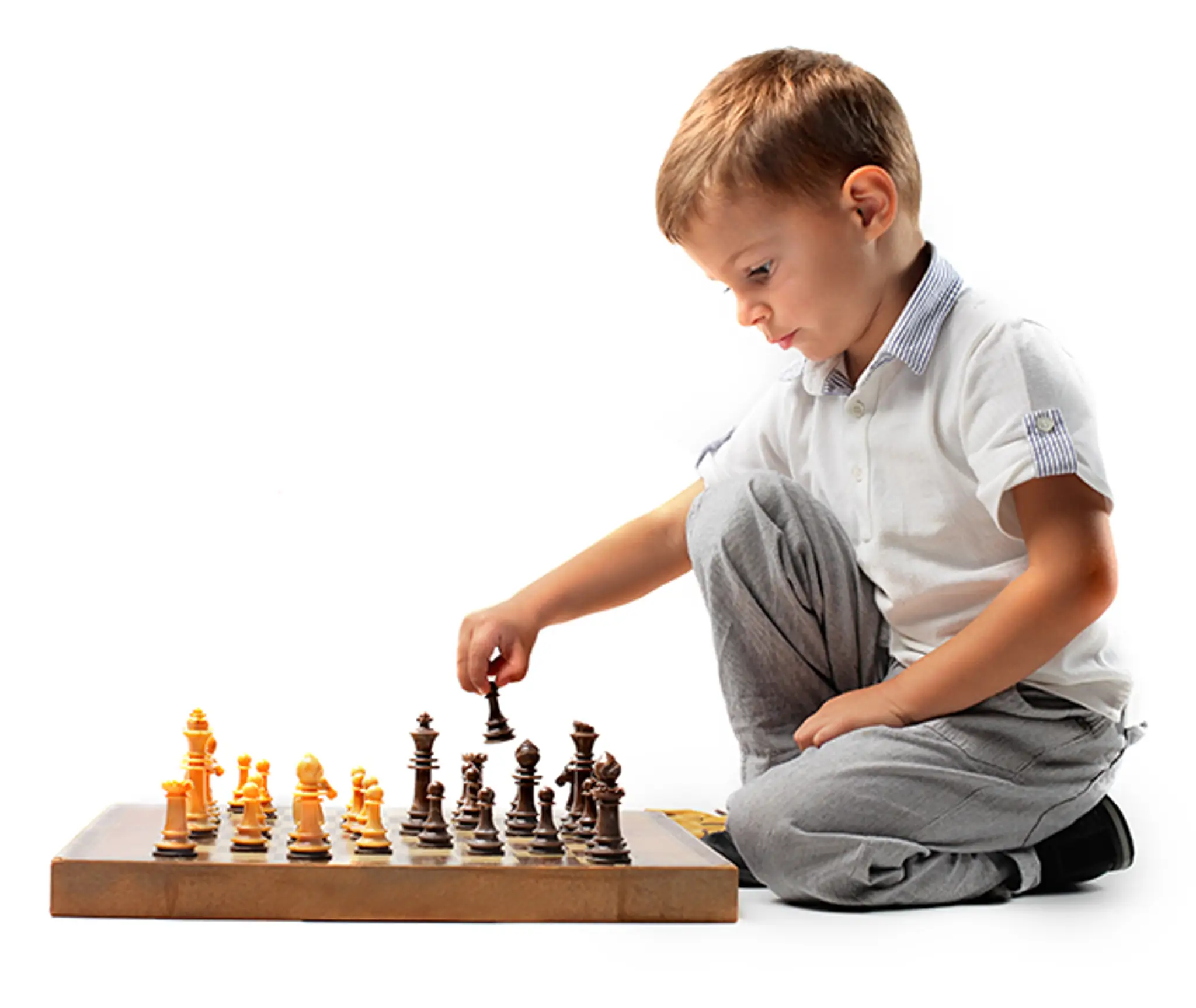 Premier Chess Coaching Ltd