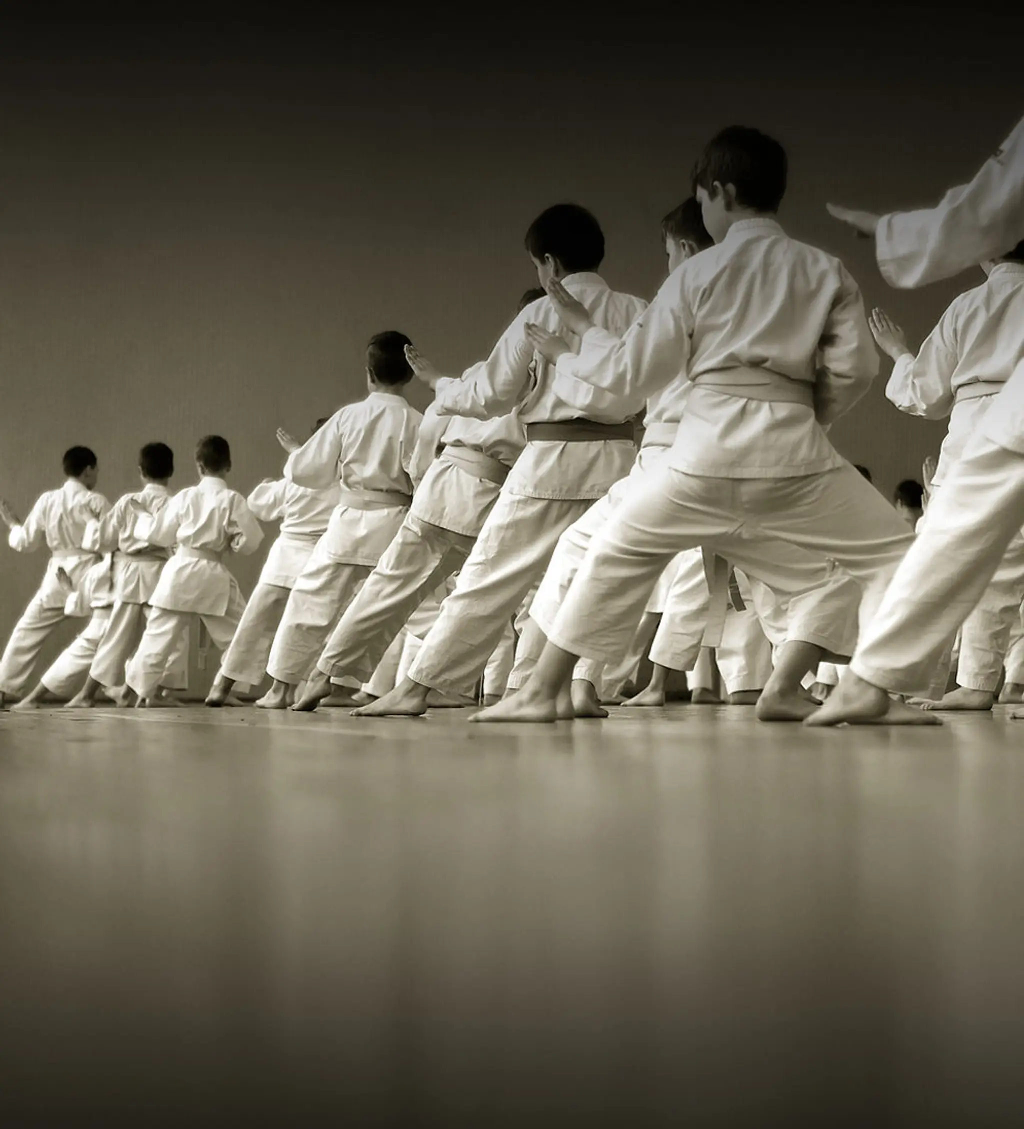 Capicio Zen Karate and Kickboxing