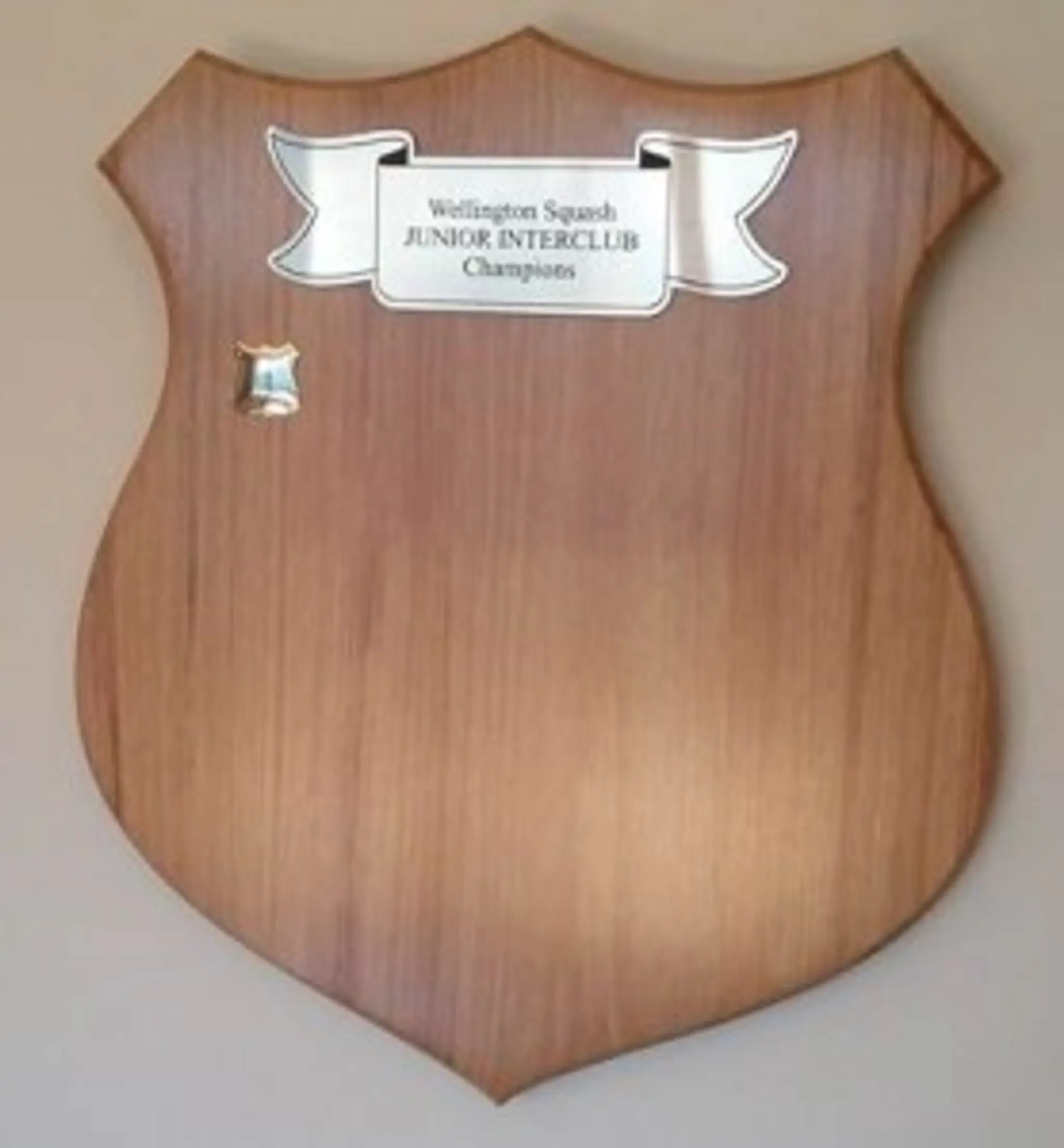 Wainuiomata Squash Club