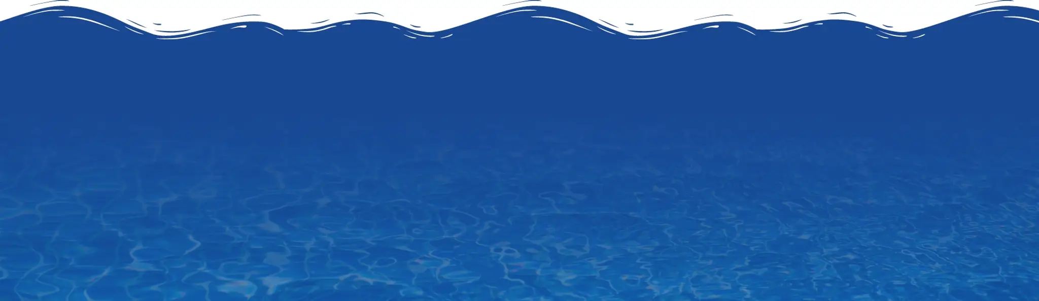 The Aqua Life Swim Academy