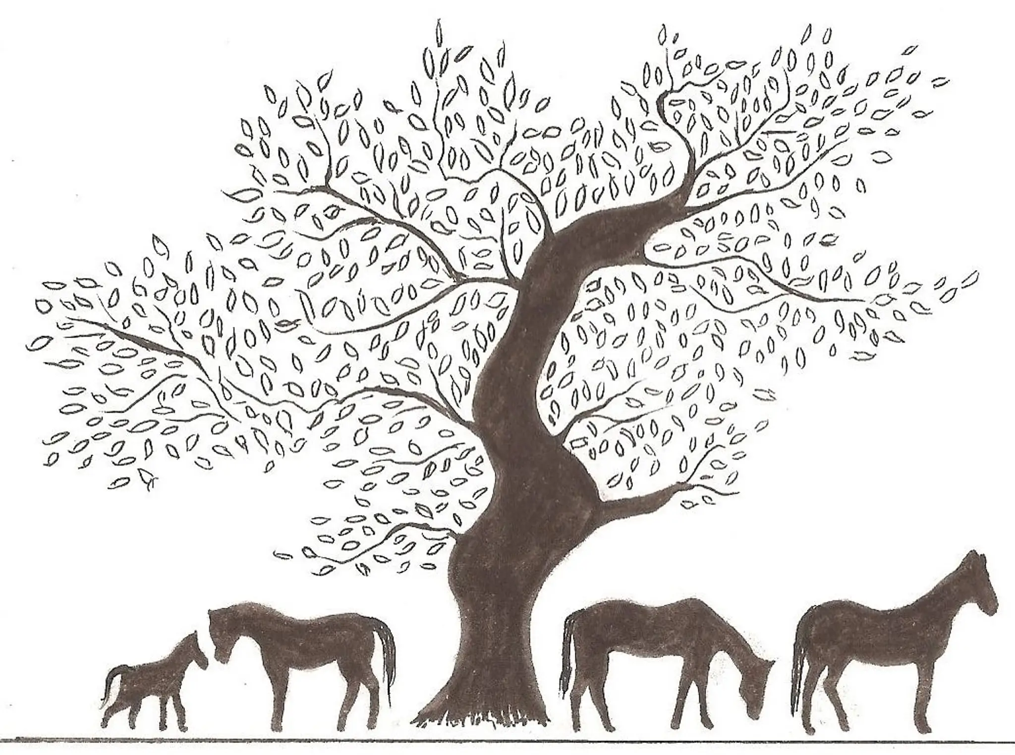 Denton Hall Riding School